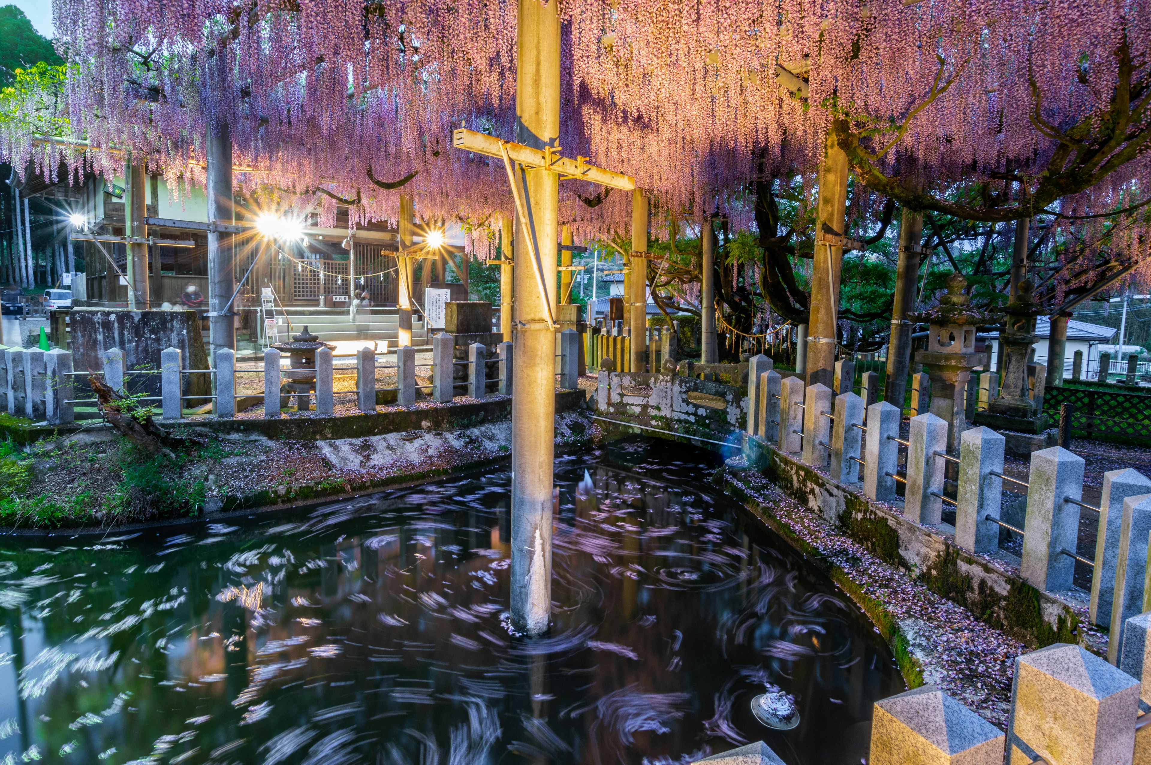 桜の木が水面に映る静かな池の風景 夜の照明が幻想的な雰囲気を醸し出す