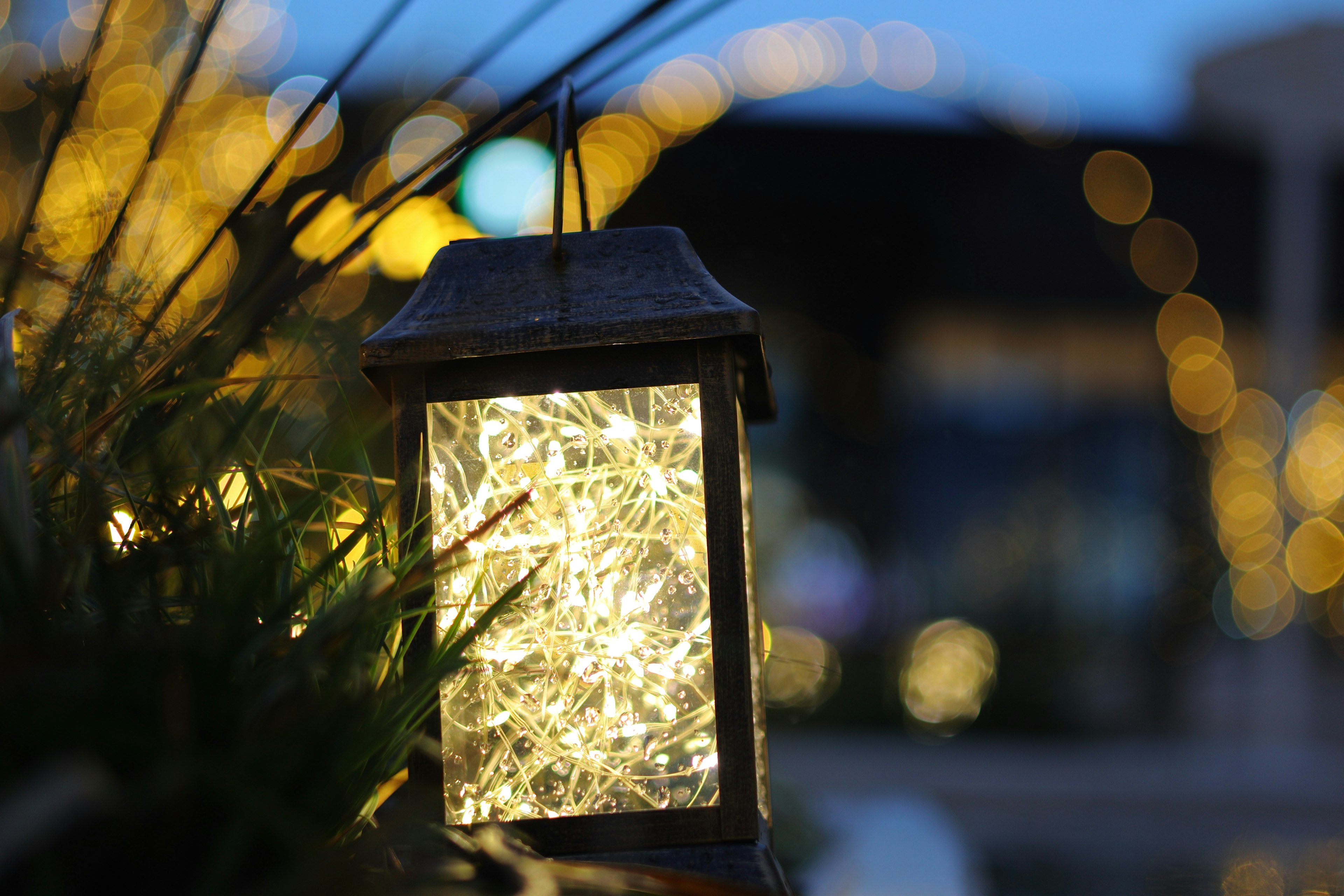 Una pequeña linterna que brilla con luces decorativas colocada entre la hierba con un fondo borroso de luces en la noche