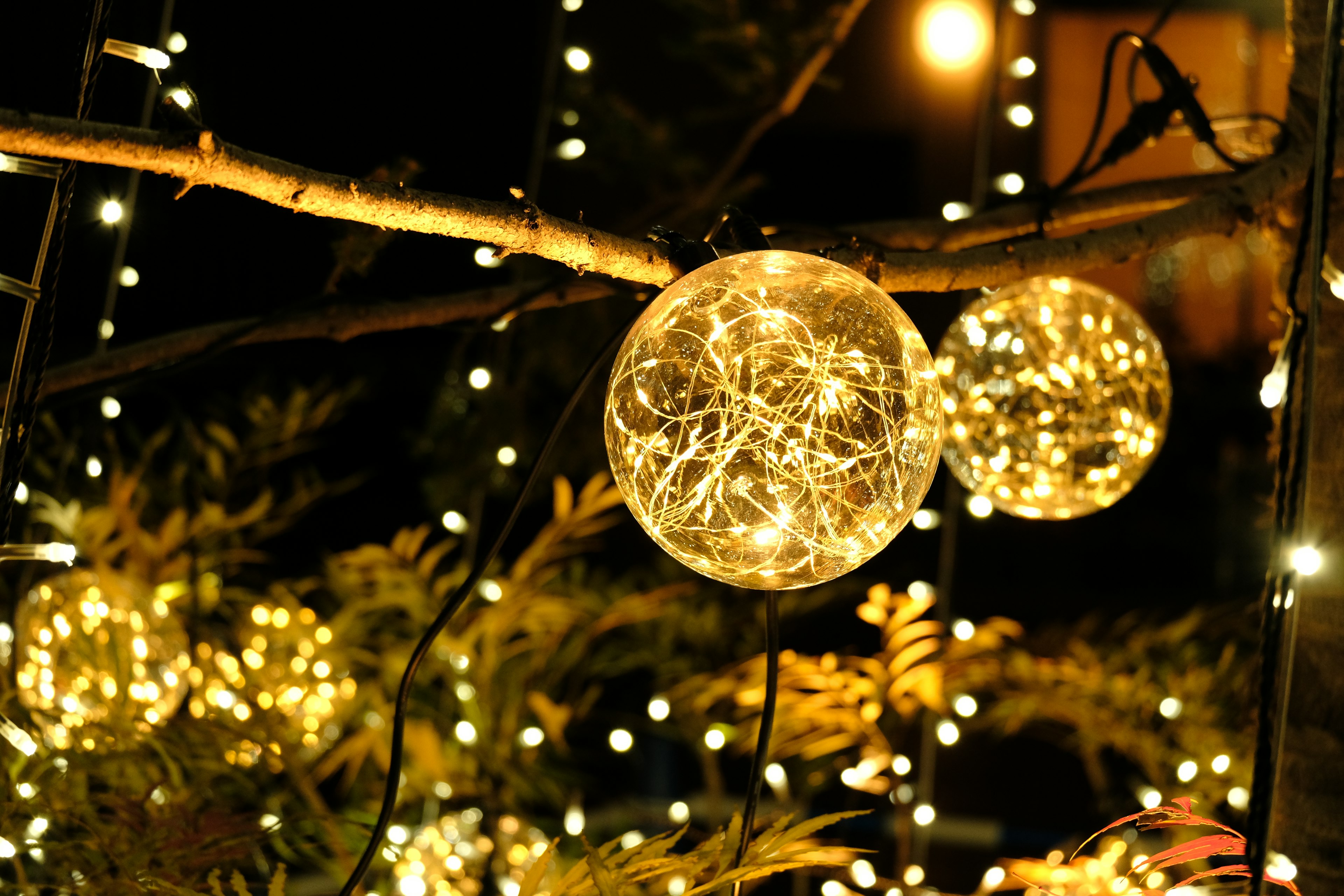 Decorative glowing light orbs hanging on a branch creating a festive atmosphere