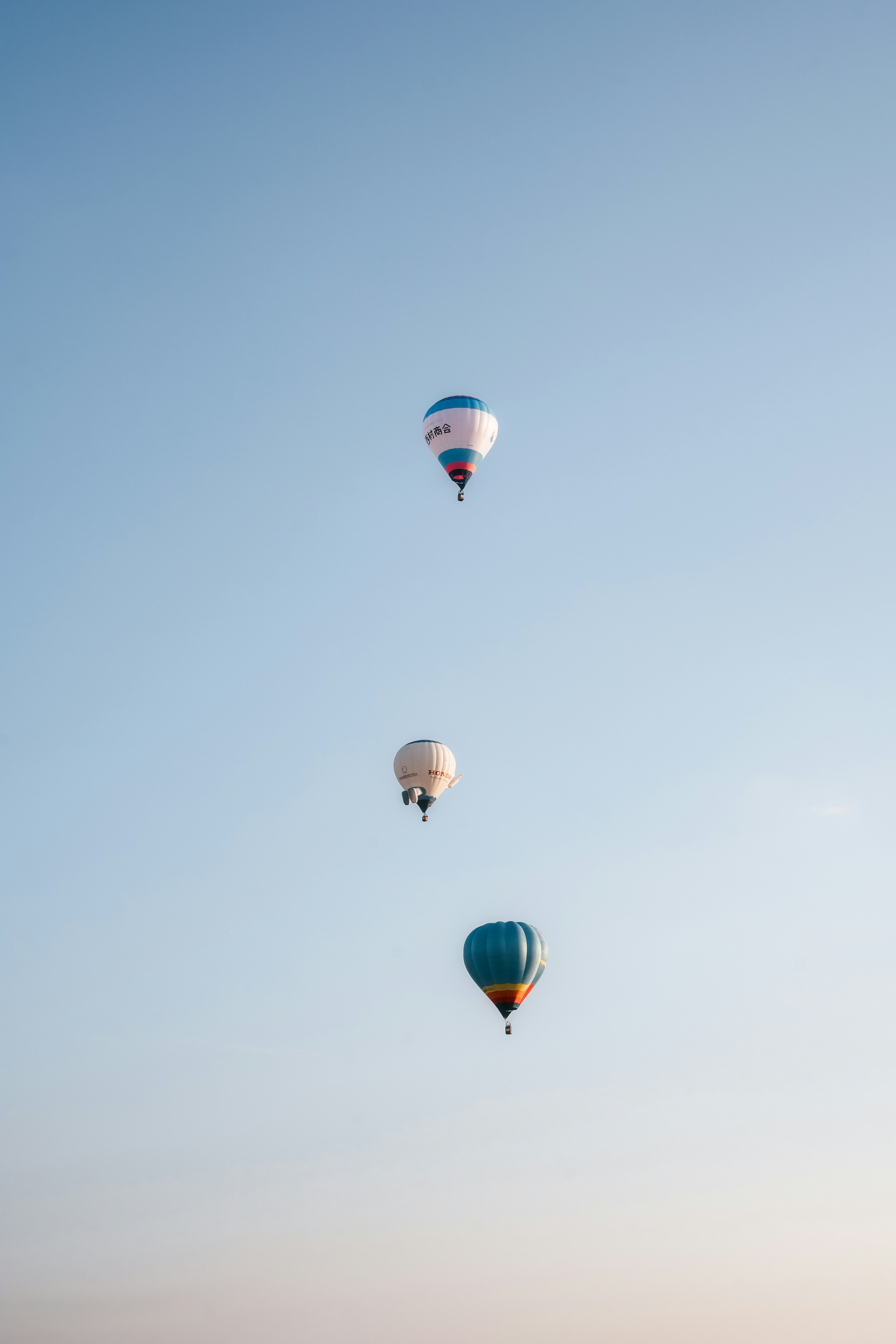 Tres globos aerostáticos en el cielo con fondo azul