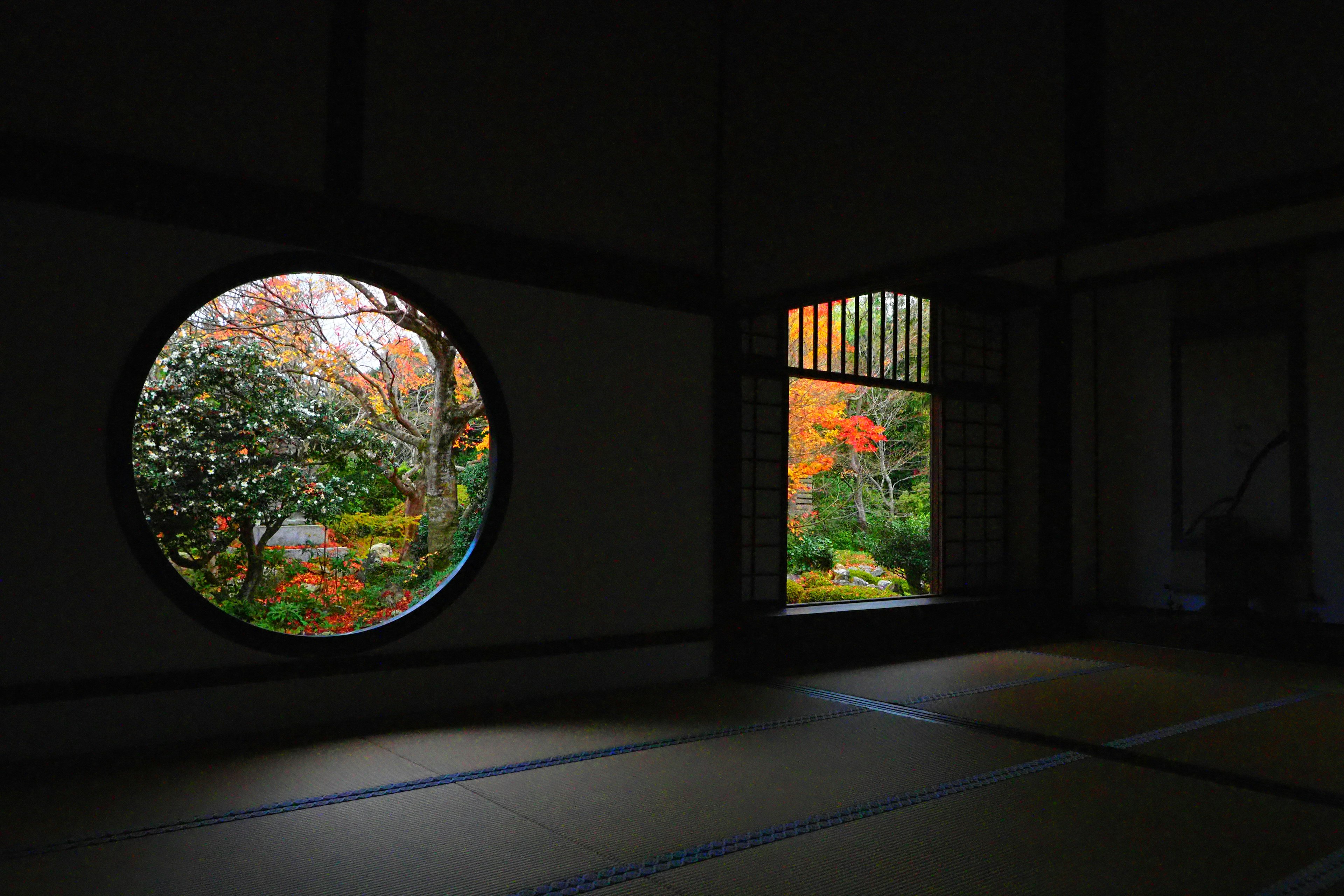 Rundes Fenster mit herbstlicher Laubfarbe und quadratisches Fenster, das einen grünen Garten zeigt