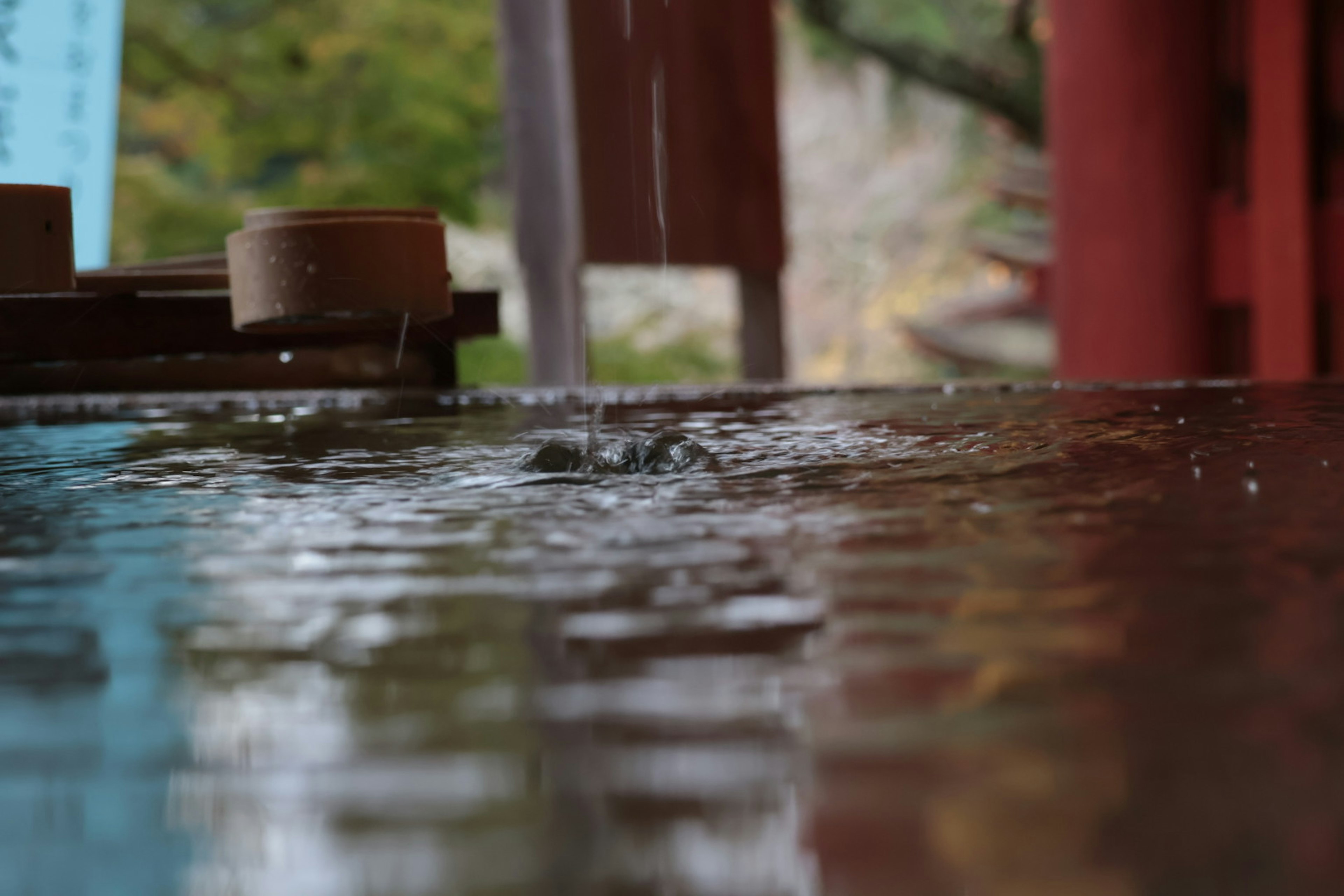 Charco de lluvia reflejando pilares rojos y vegetación exuberante