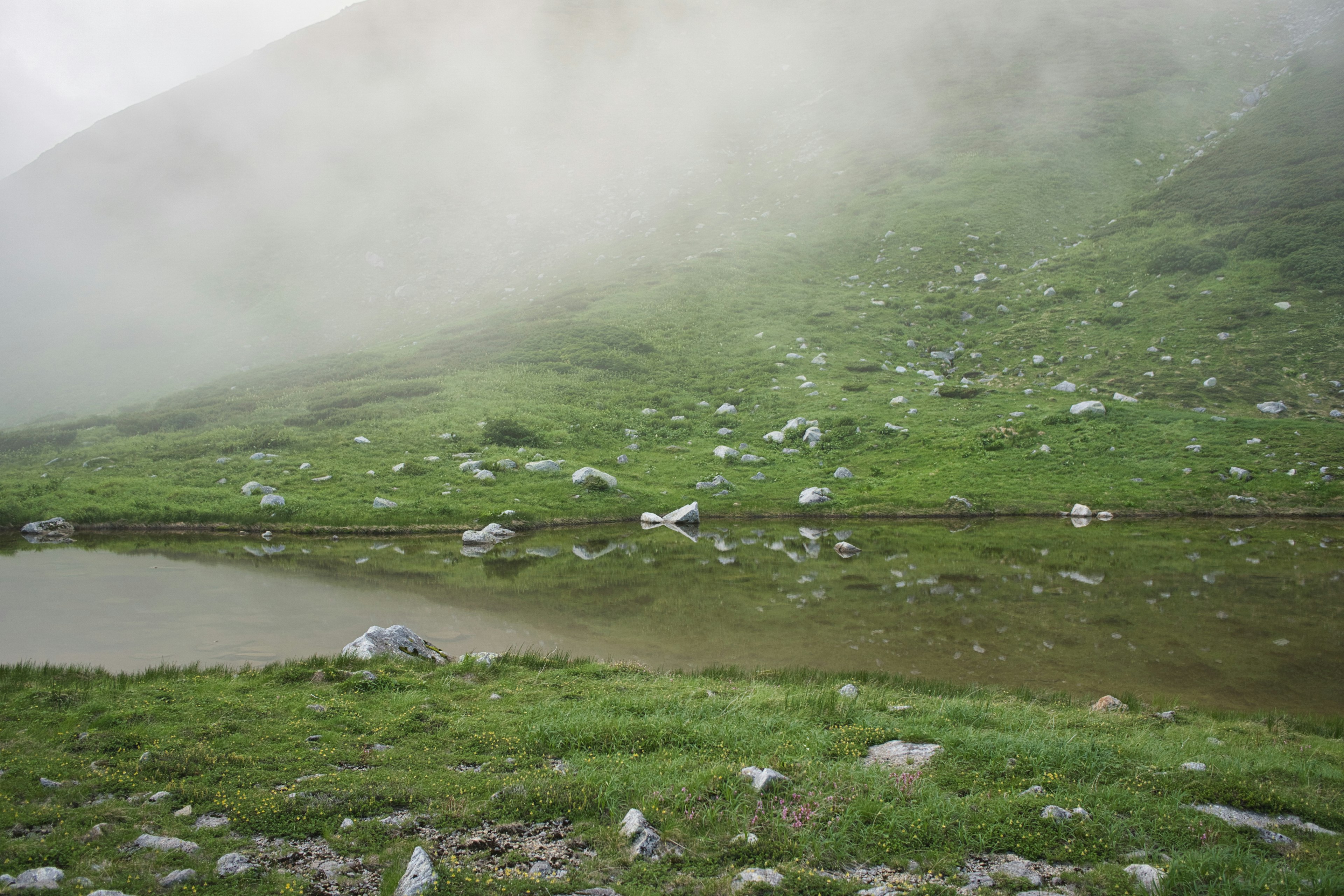 Collina verde avvolta nella nebbia con rocce sparse e uno stagno calmo