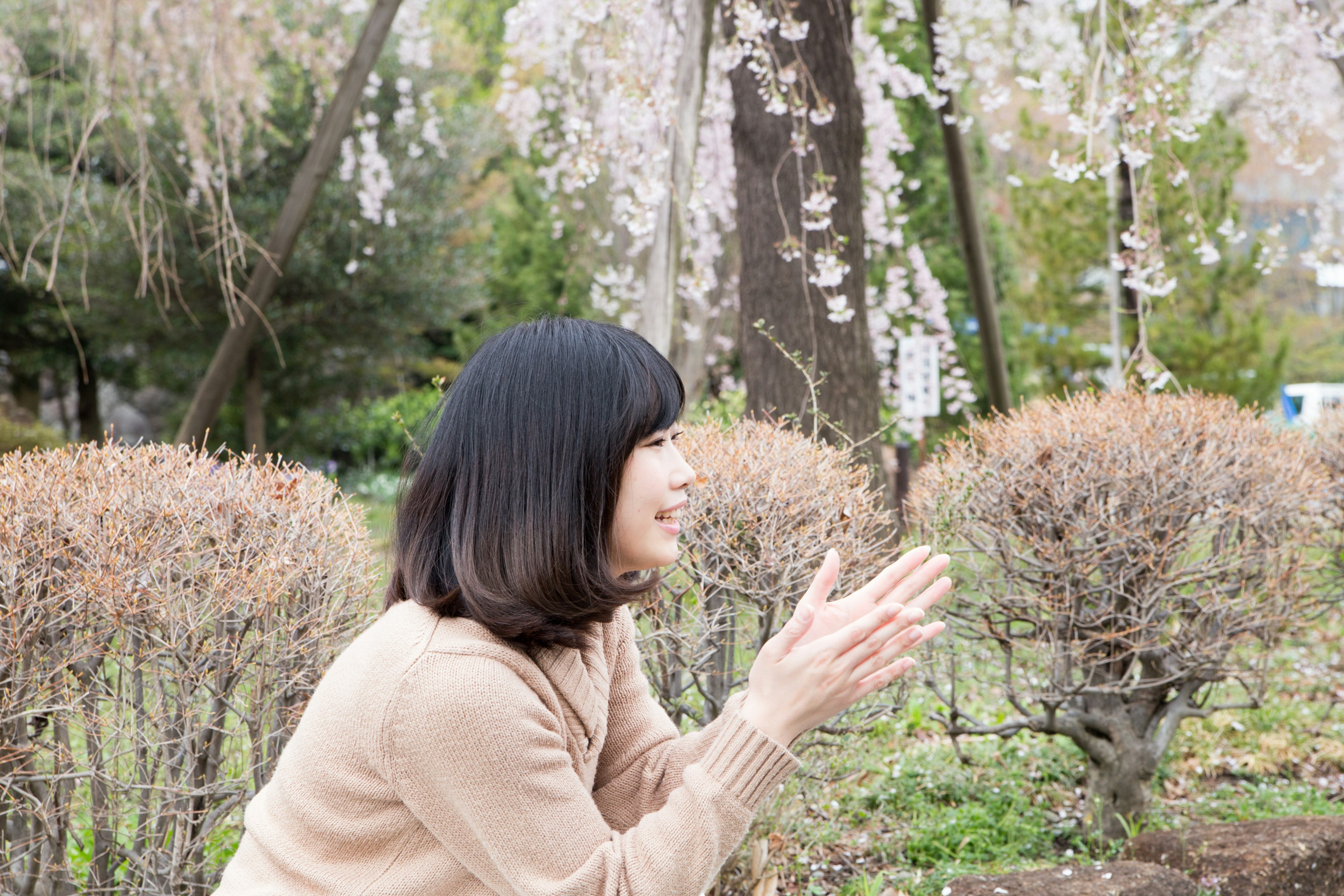 A woman clapping her hands near cherry blossom trees in a park