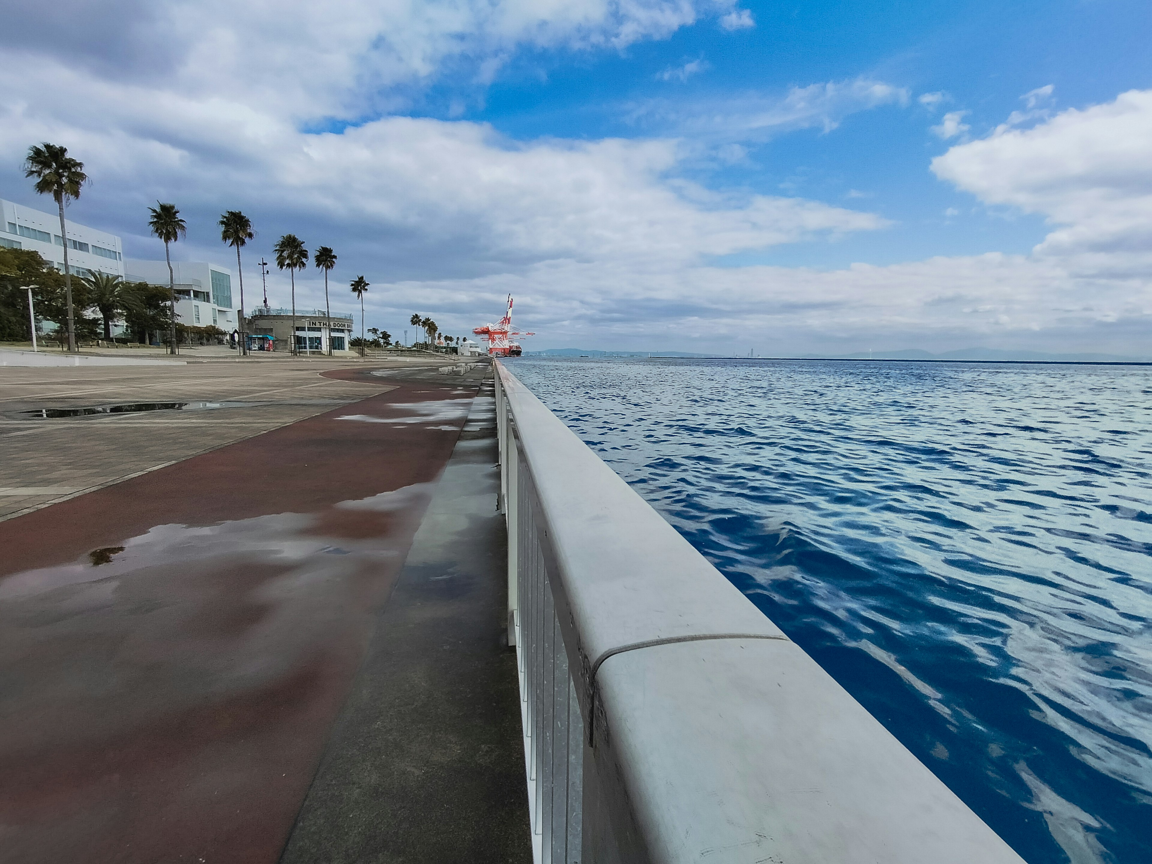 Paseo pintoresco con vista al mar y cielo azul flanqueado por palmeras