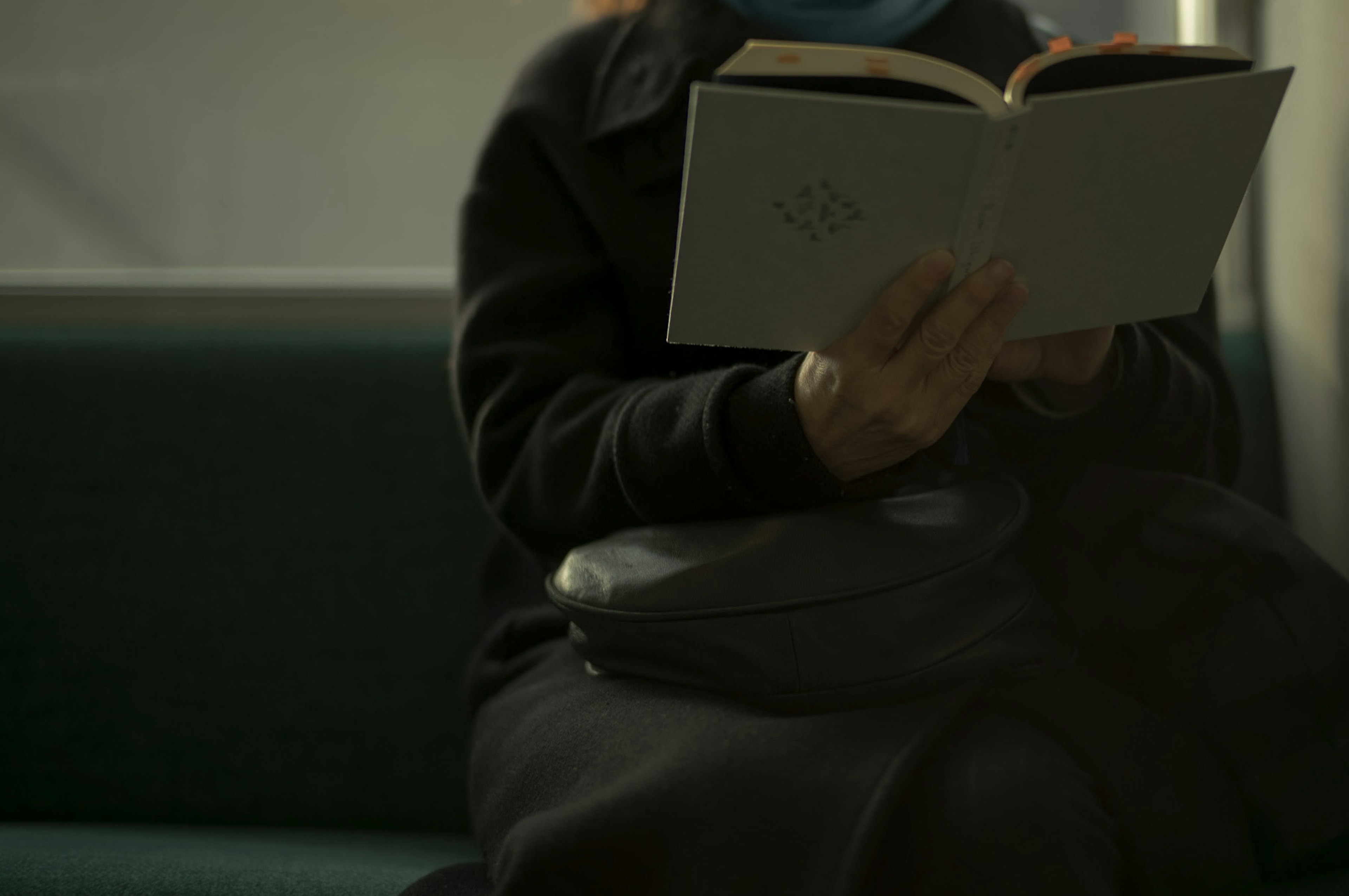 Persona leyendo un libro sentada en el metro