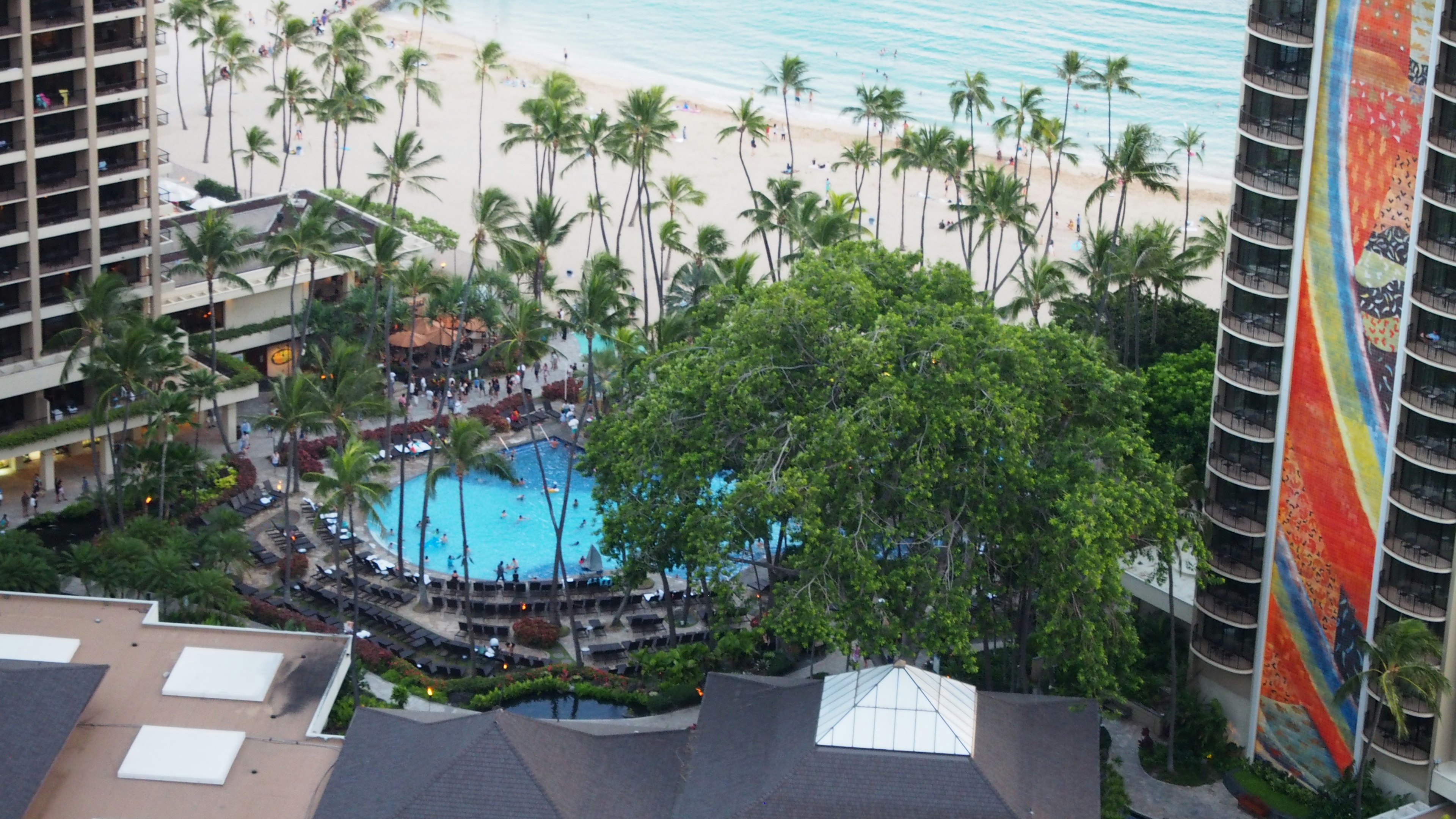 Luftaufnahme eines Resortbereichs mit einem Pool, umgeben von Palmen und Grün, mit einem Strand im Hintergrund