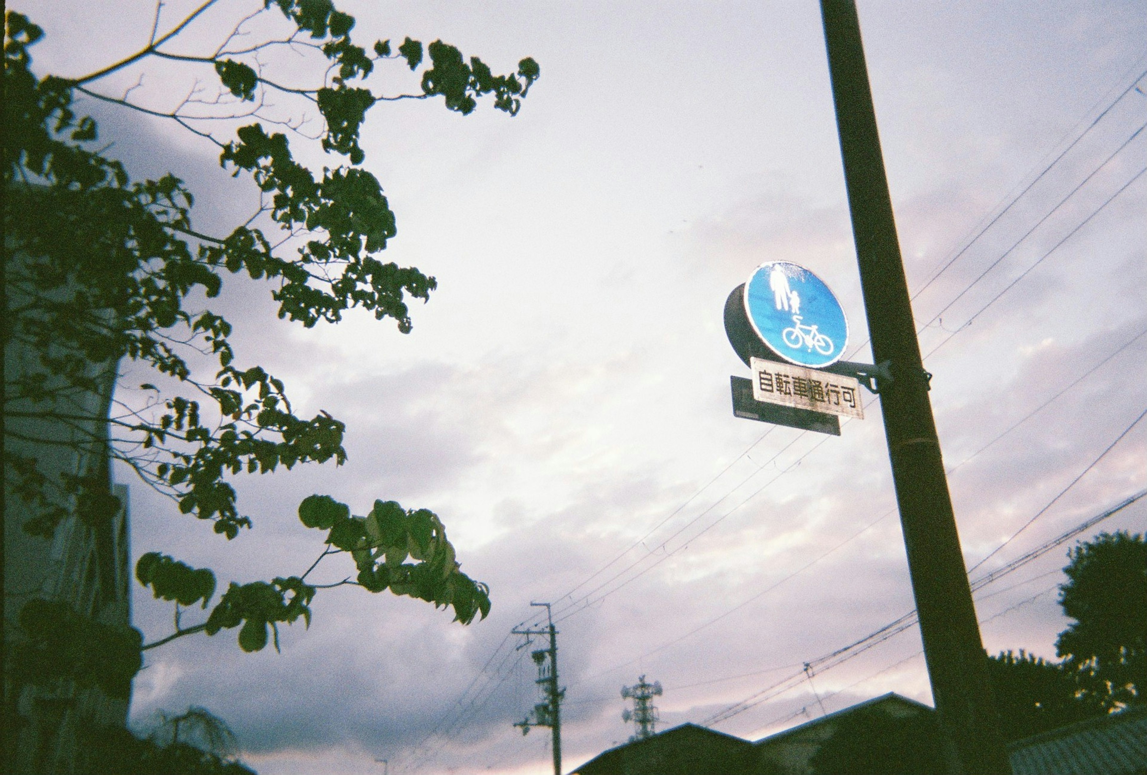 Escena de esquina de calle con un letrero azul bajo un cielo nublado y hojas de árbol