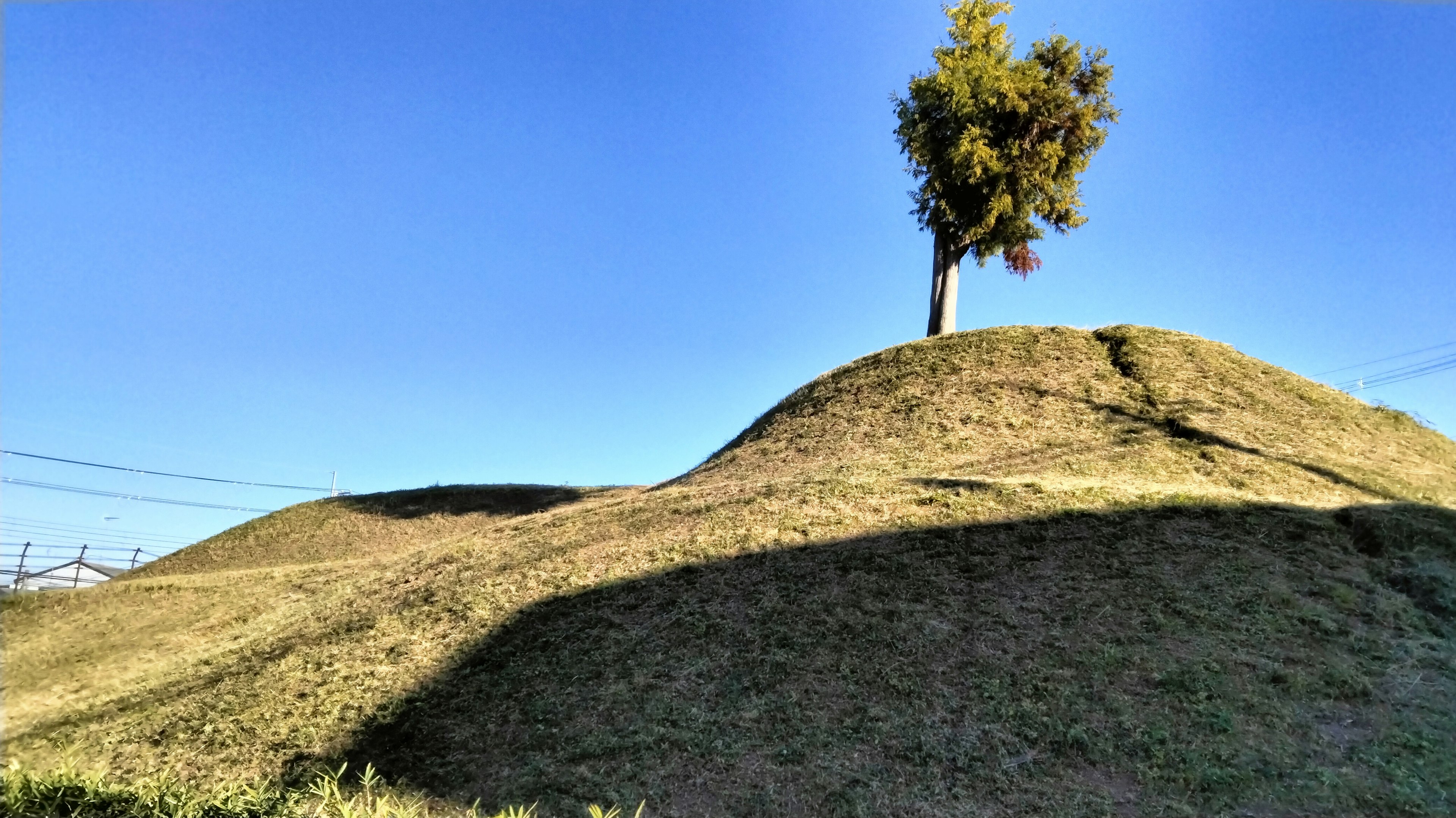 Colina verde bajo un cielo azul con un árbol en la cima