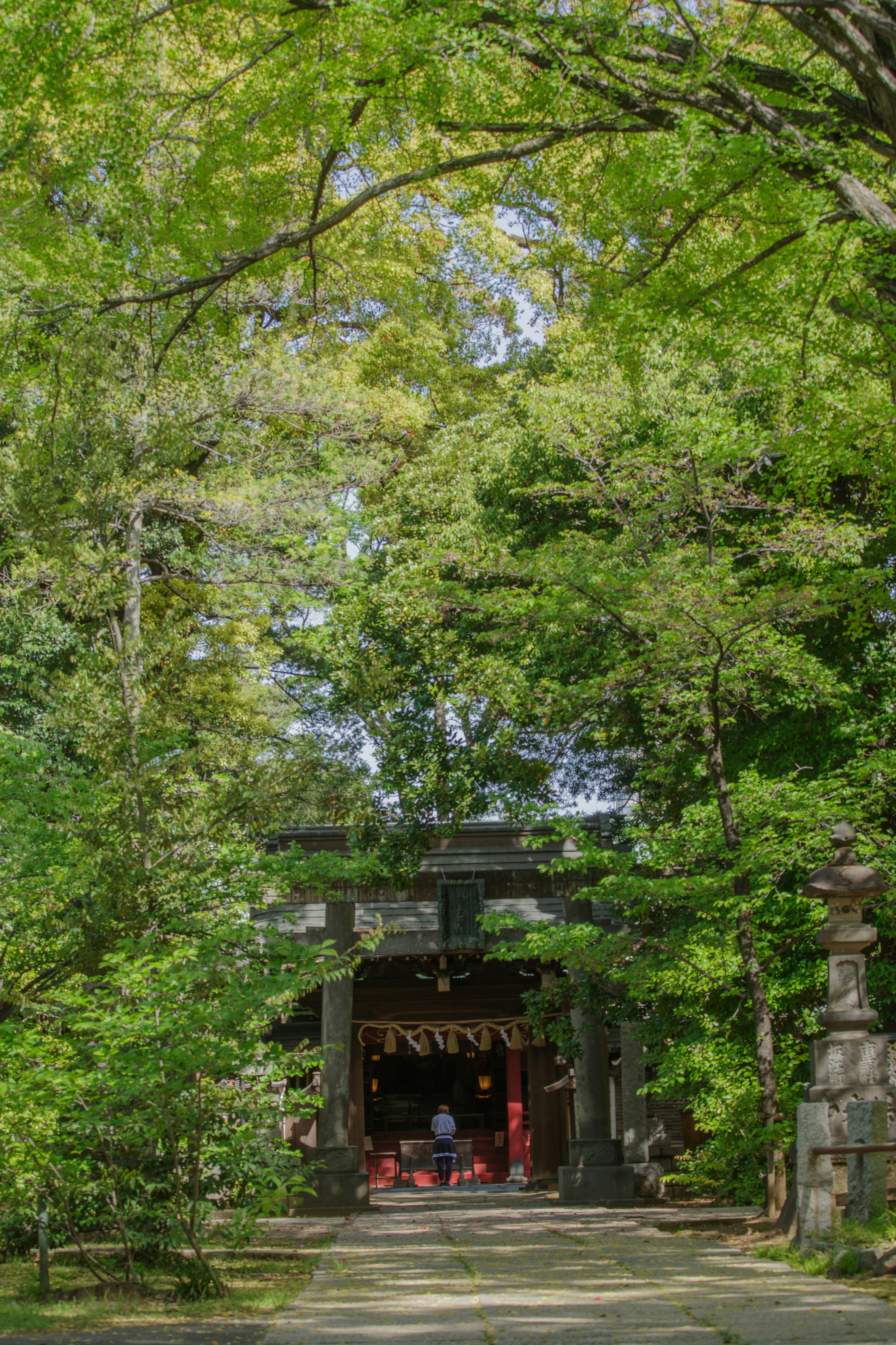 Entrance of a shrine surrounded by lush green trees with a person visible