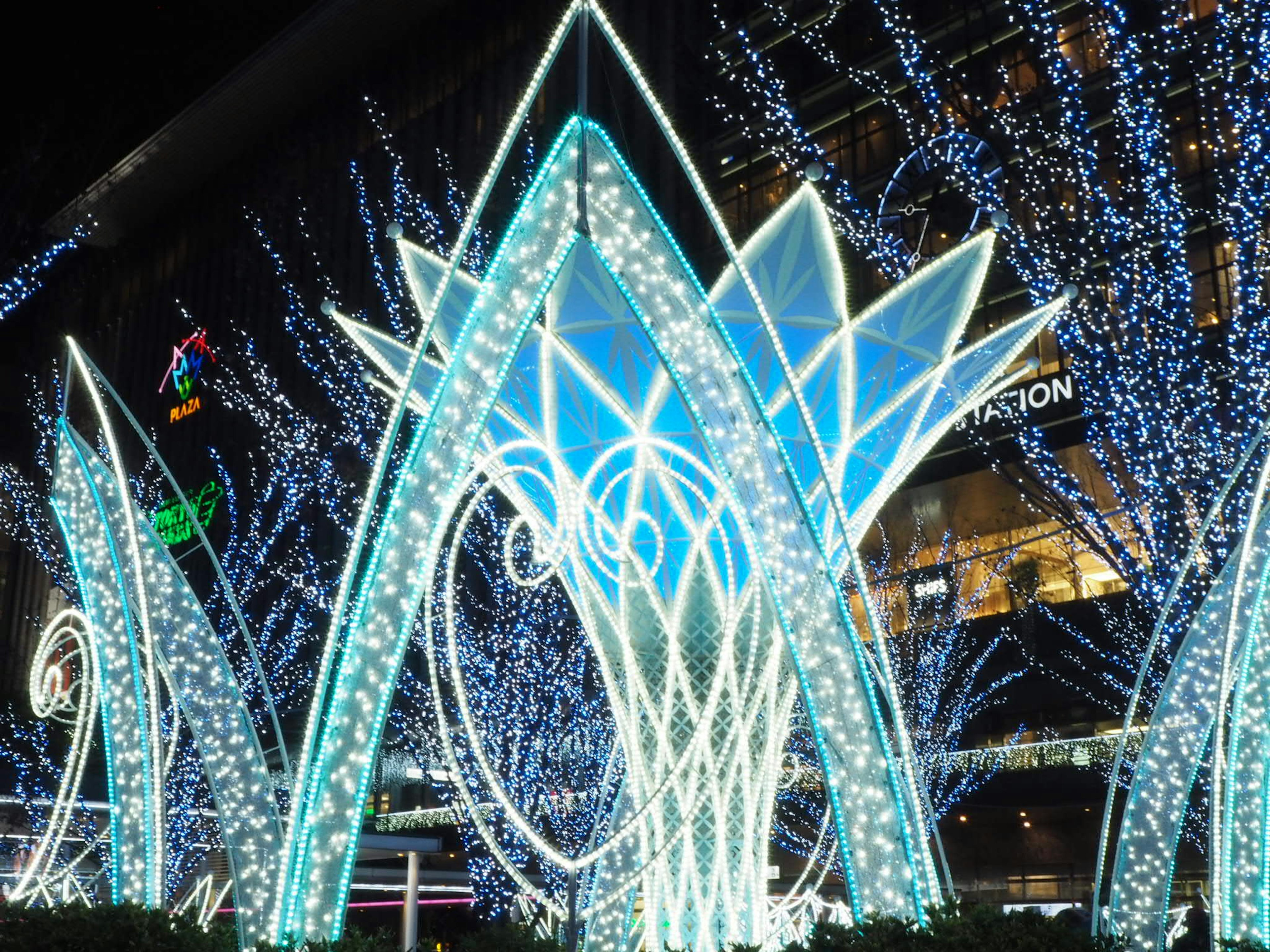 Installazione artistica con decorazioni luminose blu e alberi illuminati