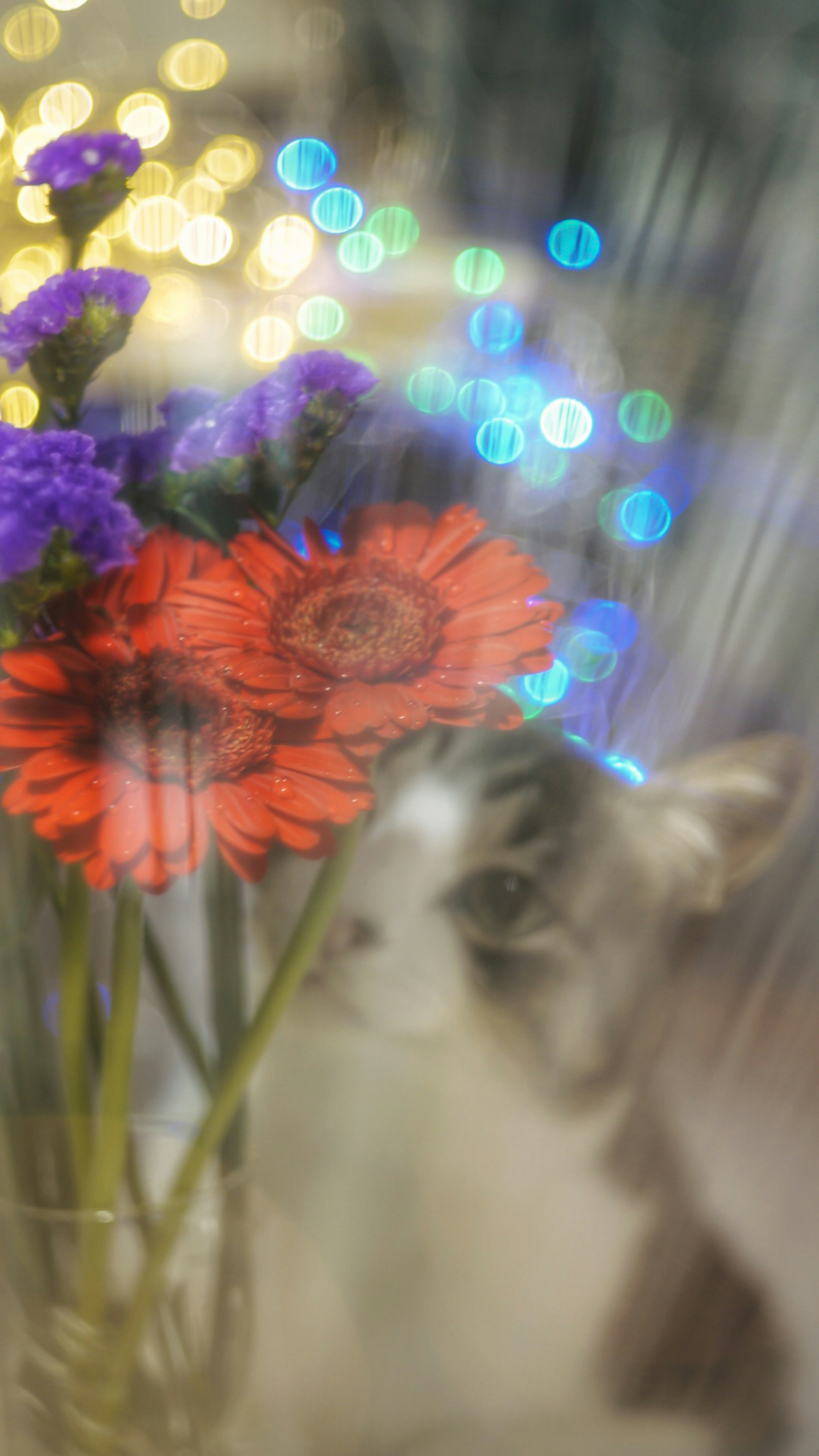 A cat peeking through vibrant flowers with a blurred background