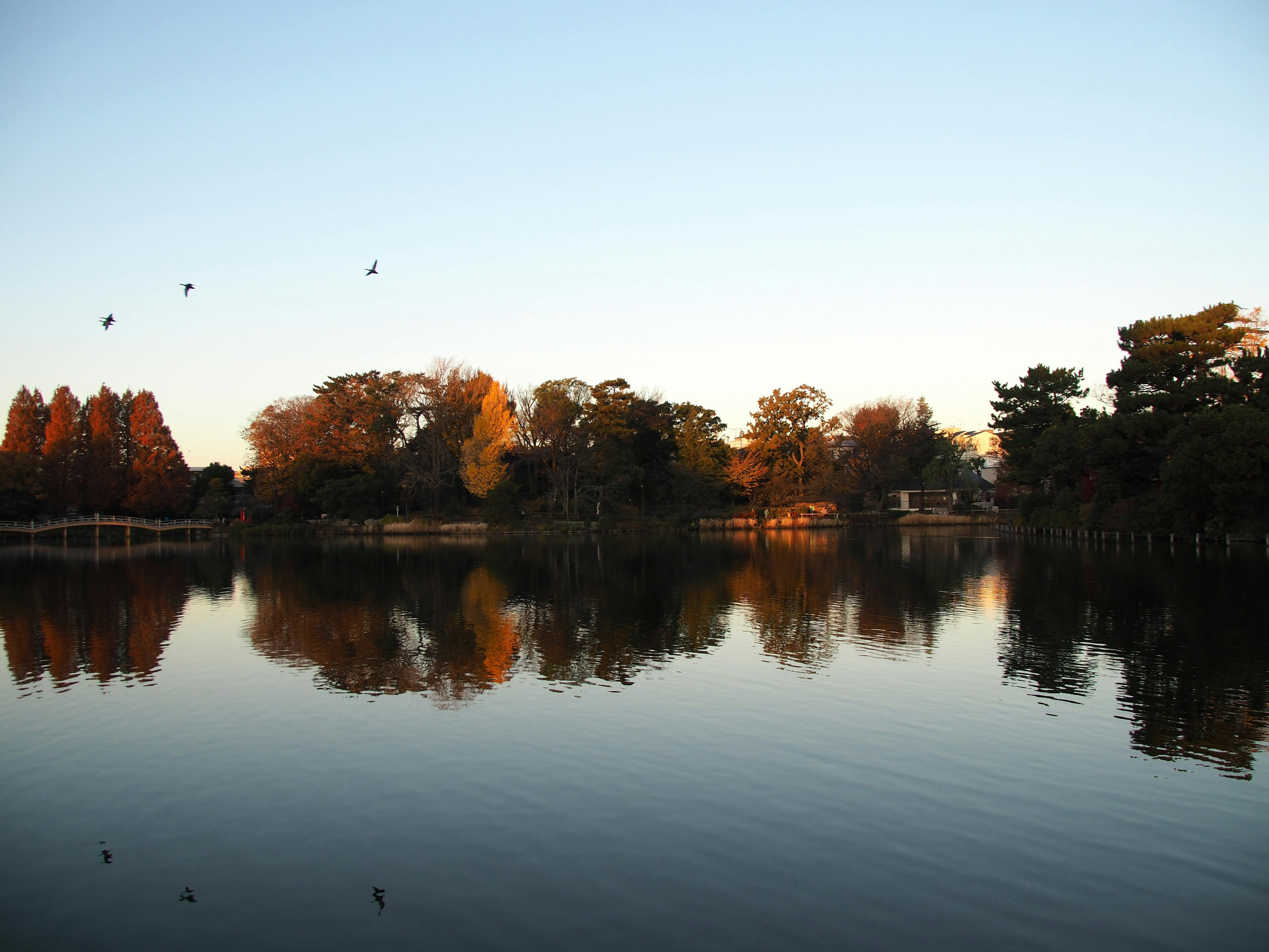 Ruhiger See, der die herbstliche Landschaft widerspiegelt