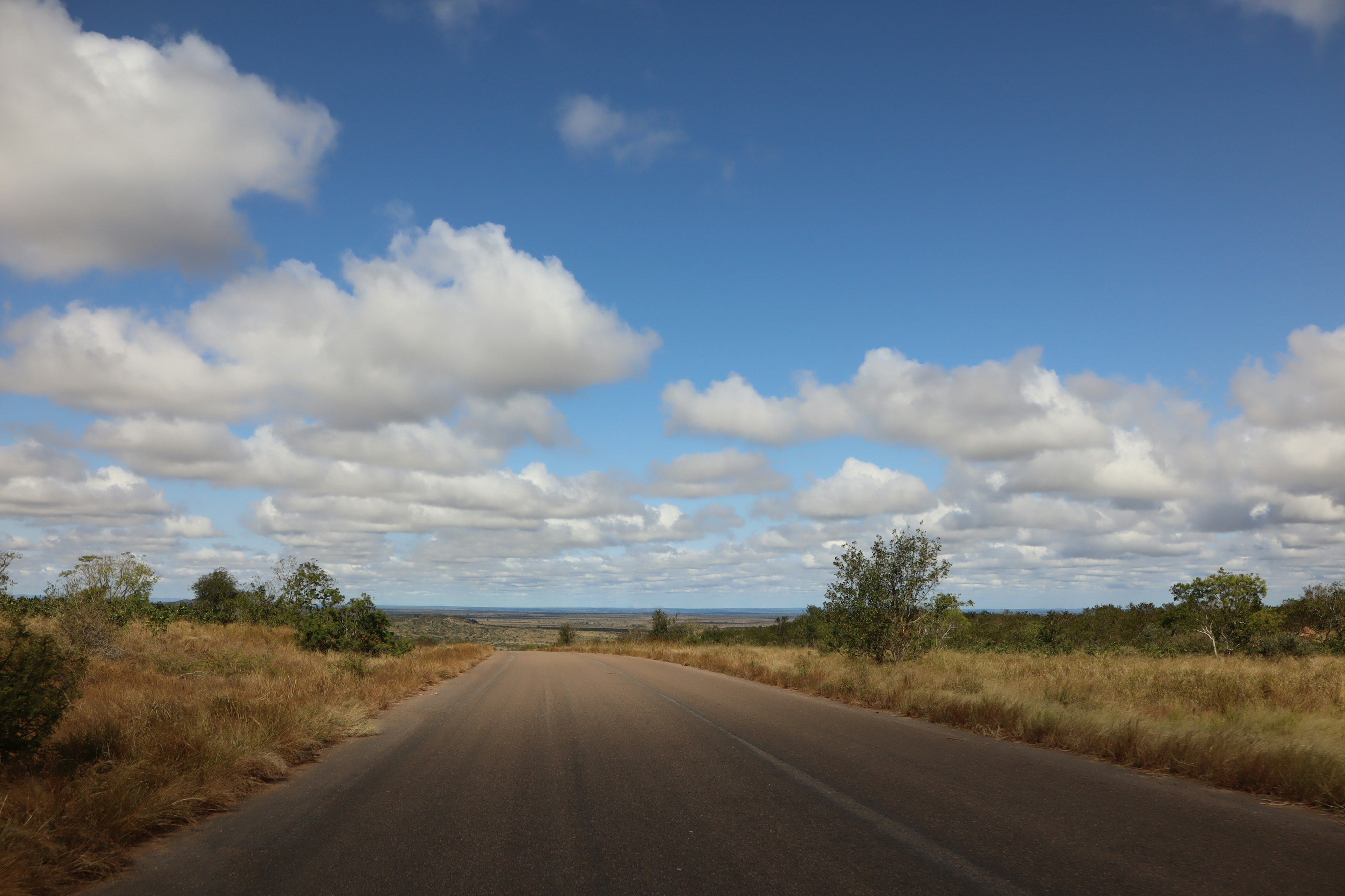 Eine Straße, die sich durch eine grasbewachsene Landschaft unter einem blauen Himmel mit flauschigen Wolken erstreckt