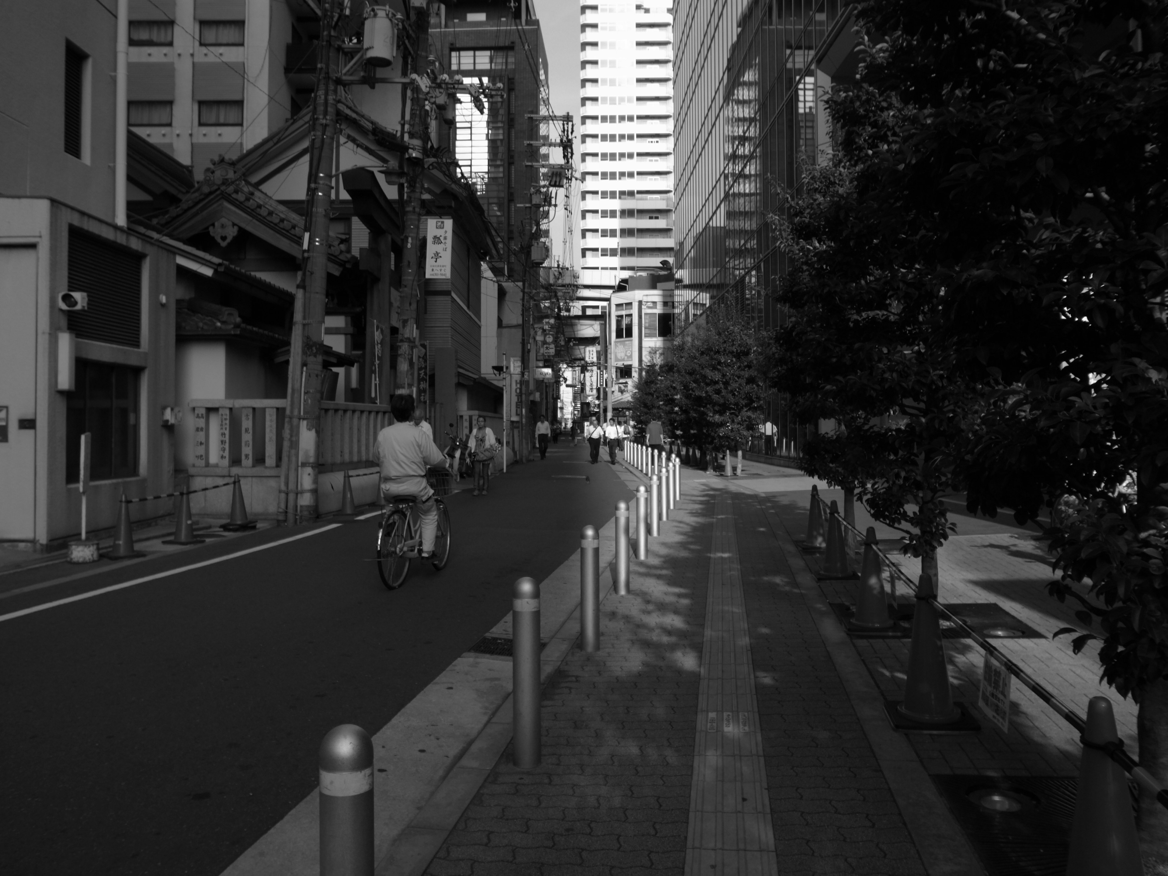 Black and white cityscape with a person riding a bicycle modern buildings and traditional architecture