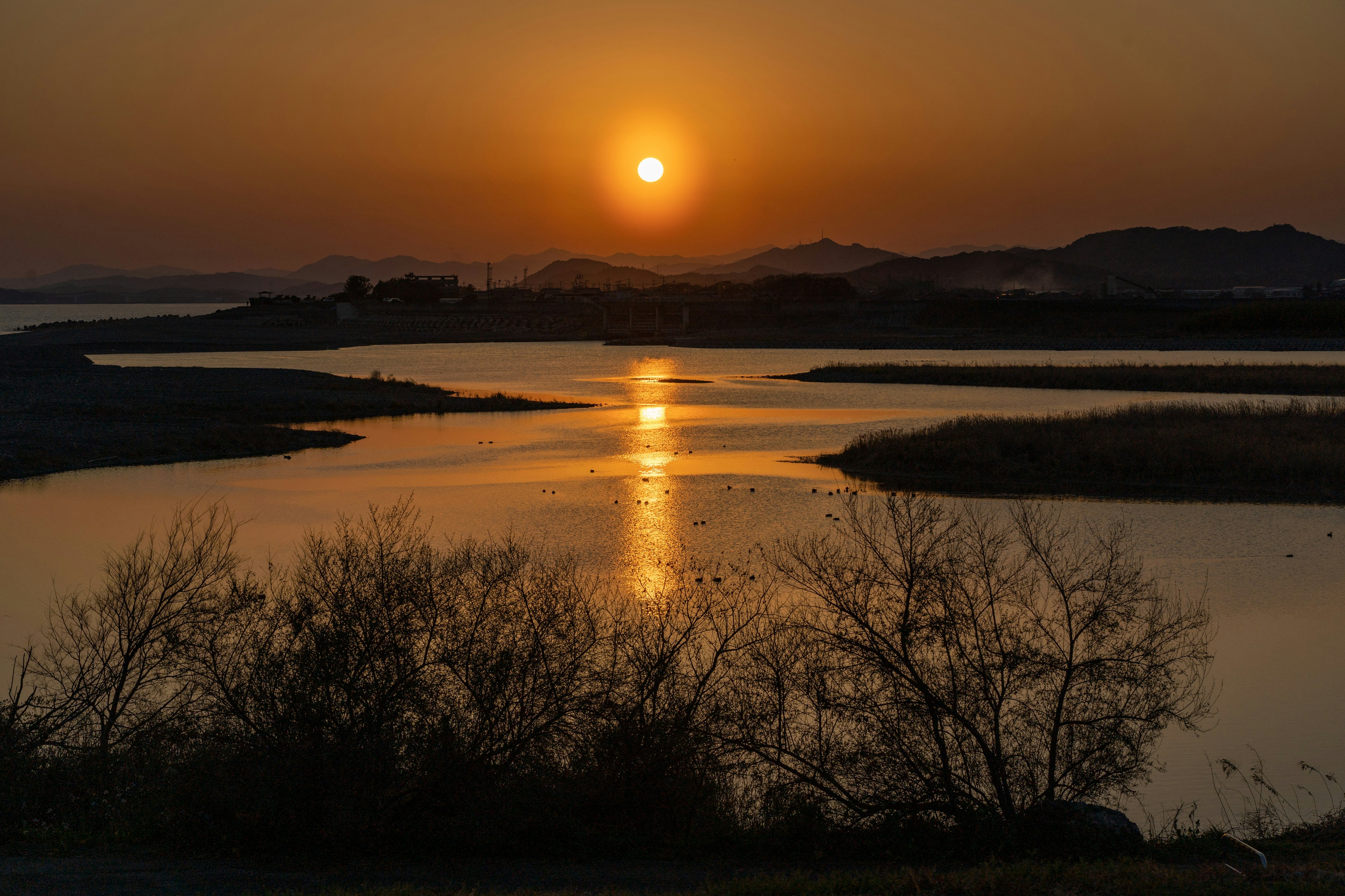 夕日が水面に反射する風景 河川と木々が見える