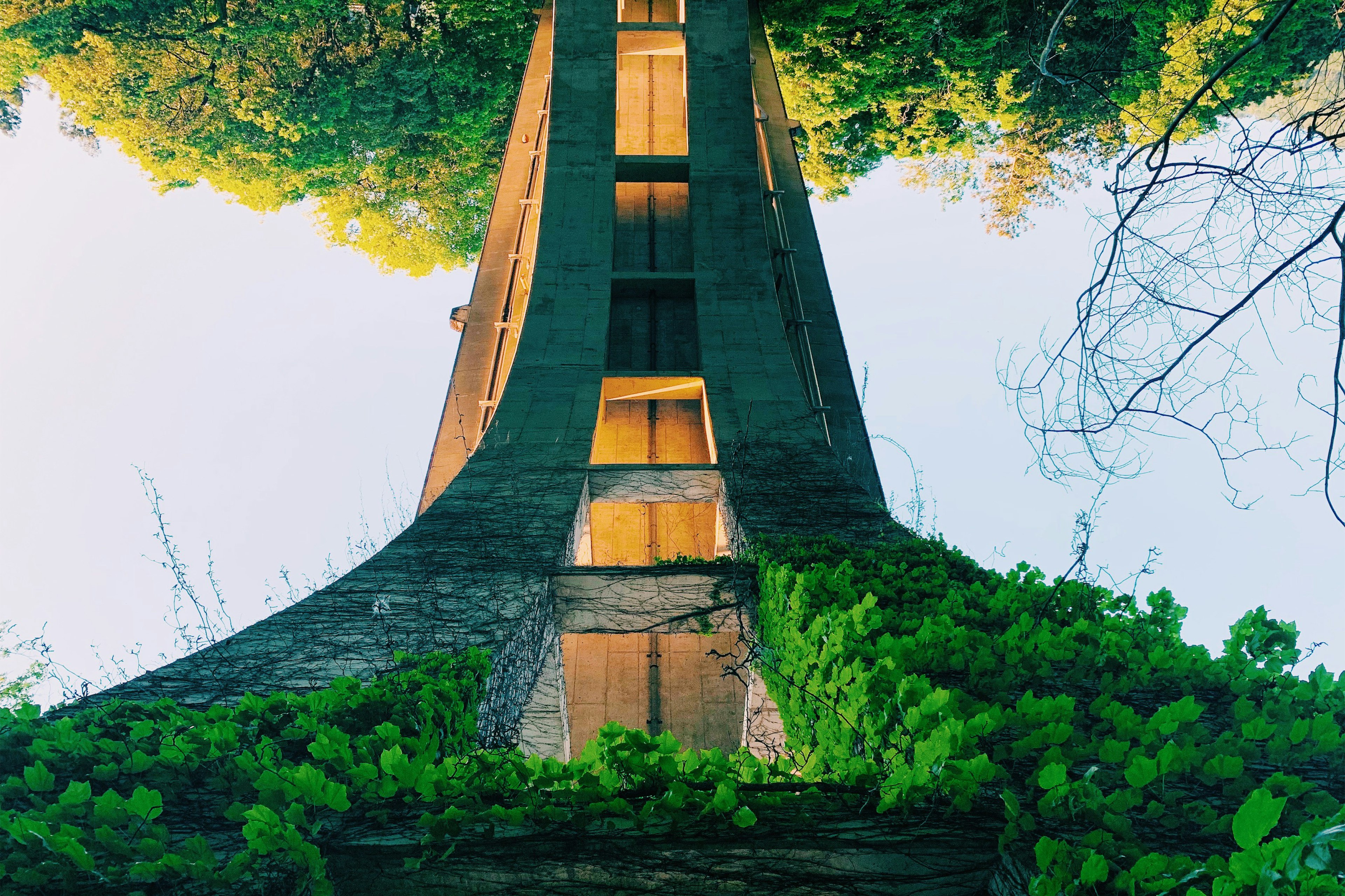 Photo of a tall concrete tower covered in green plants