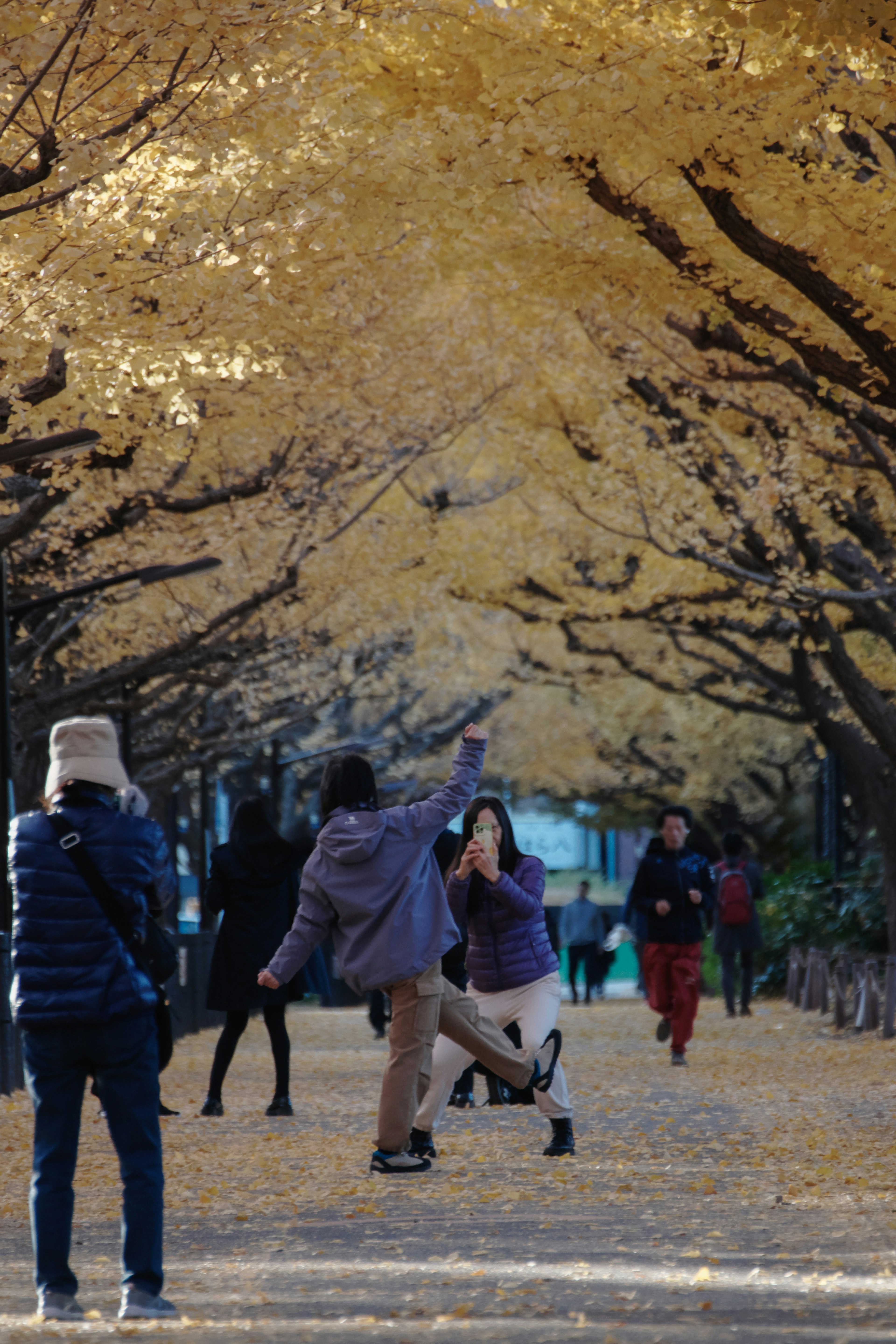 People enjoying a tree-lined path with golden autumn leaves