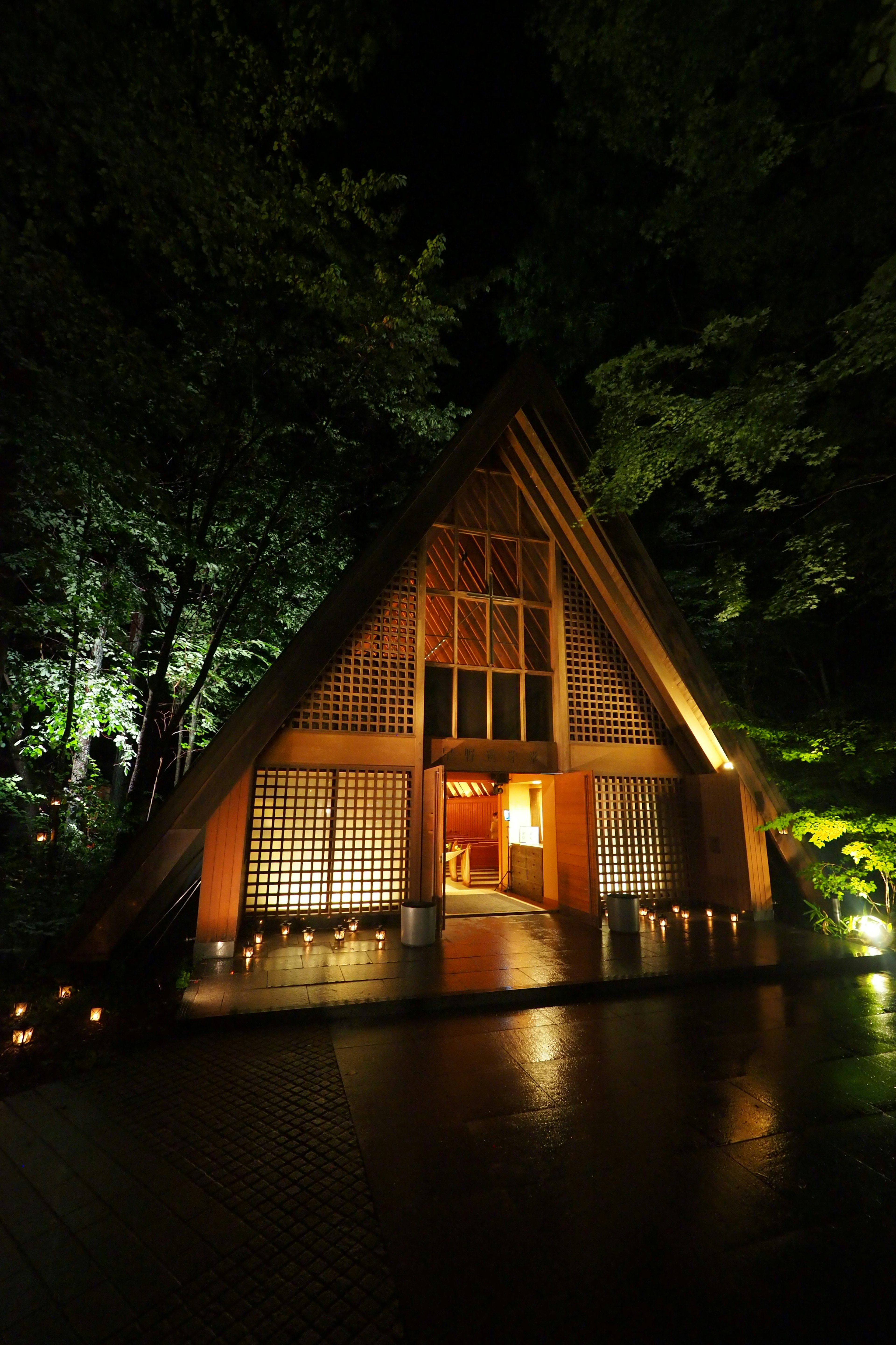 A beautiful architectural house nestled in a forest at night