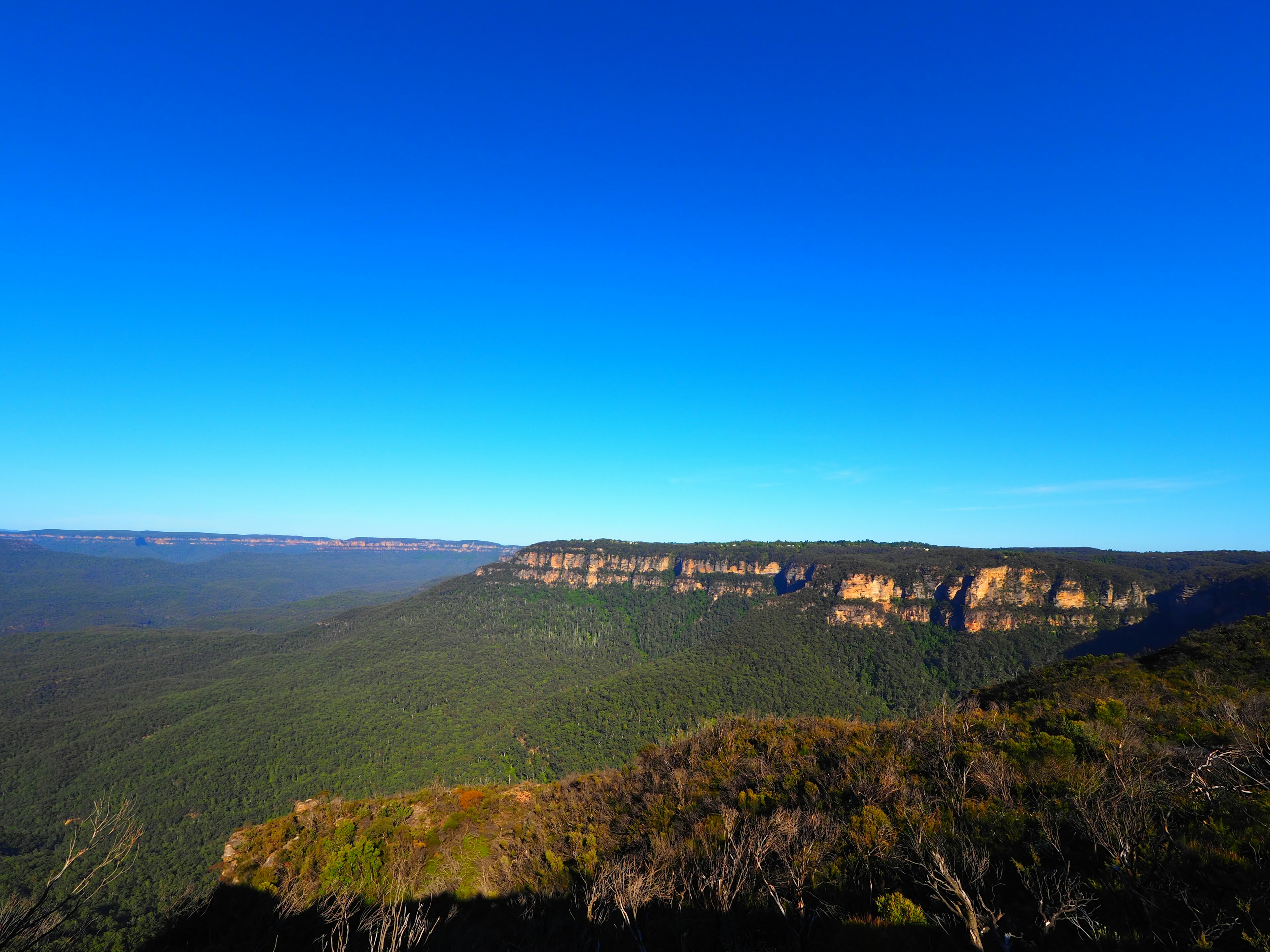 Vue panoramique des montagnes entourées de forêts vertes et d'un ciel bleu