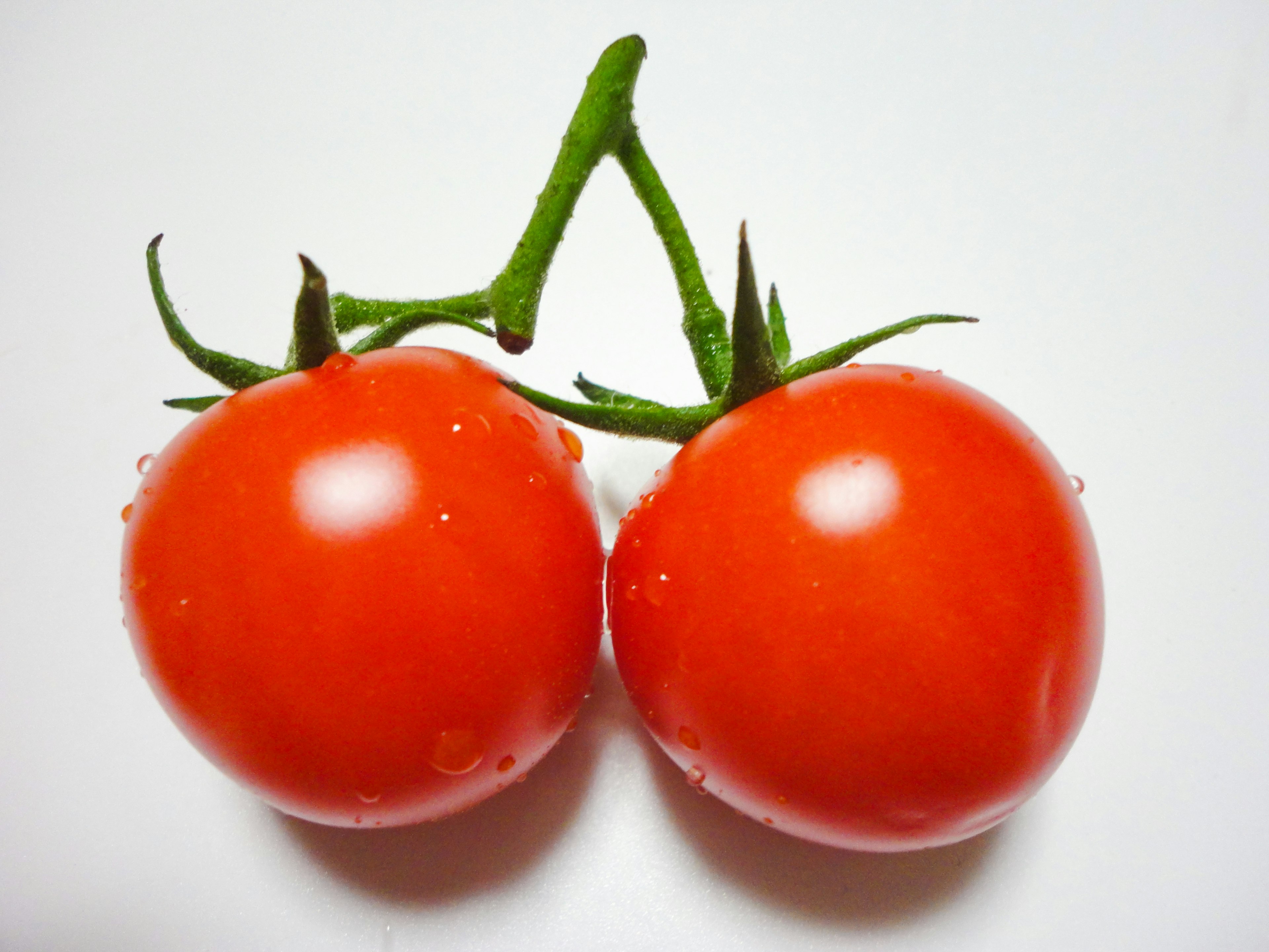 Due pomodori rossi freschi collegati da un gambo verde