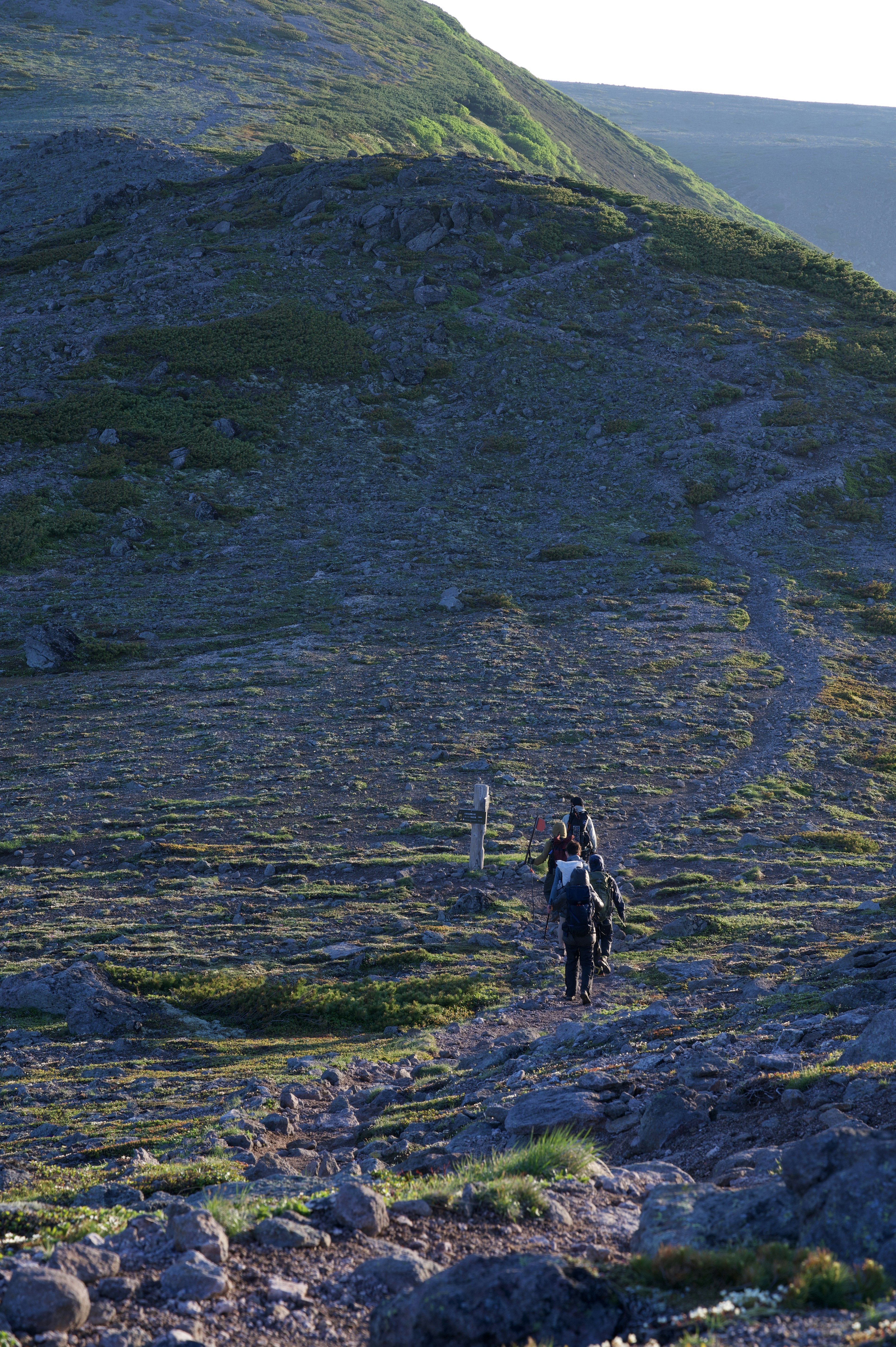 Randonneur montant une montagne avec un paysage verdoyant