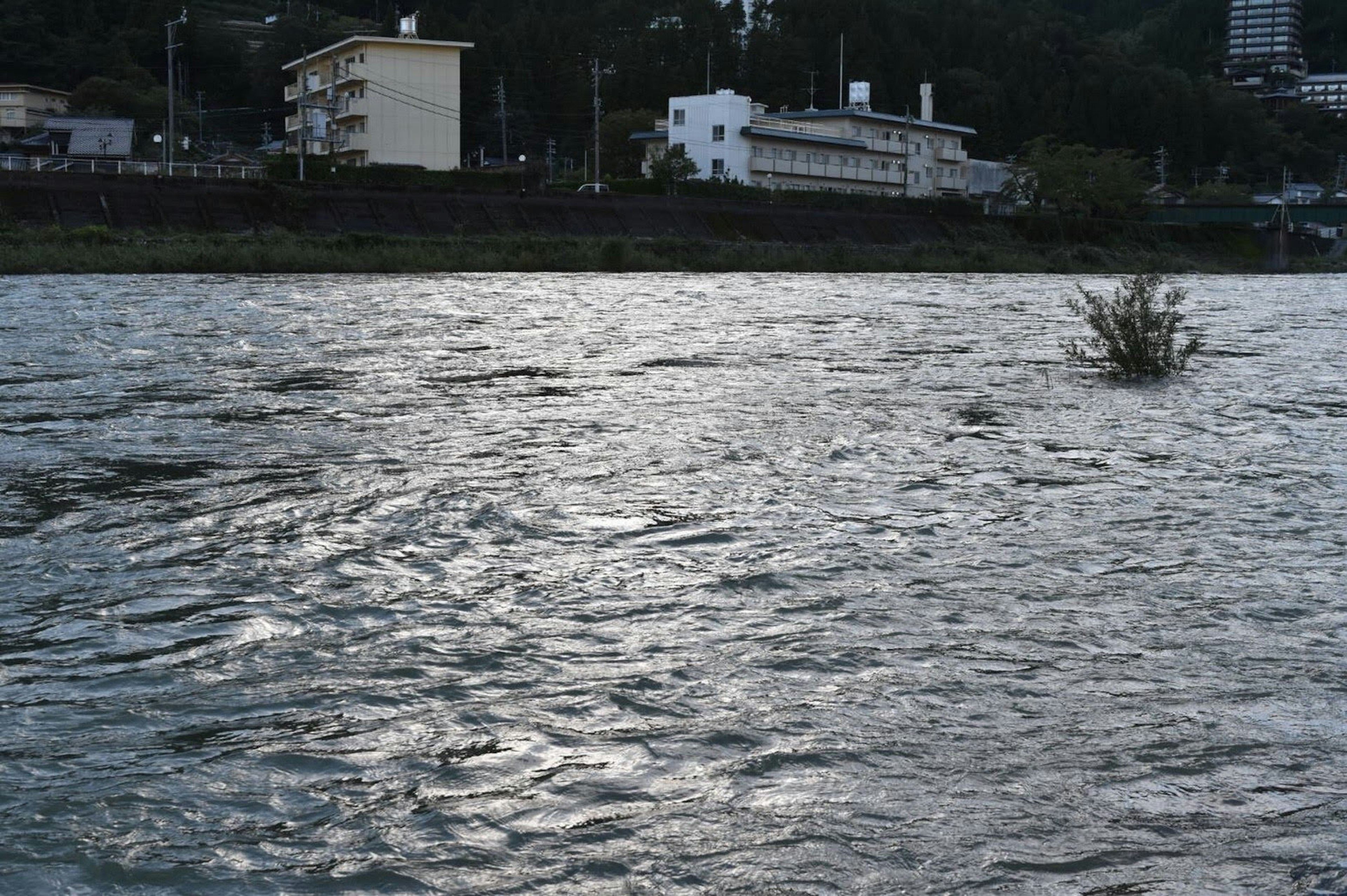 穏やかな水面に反射する光と岸辺の建物