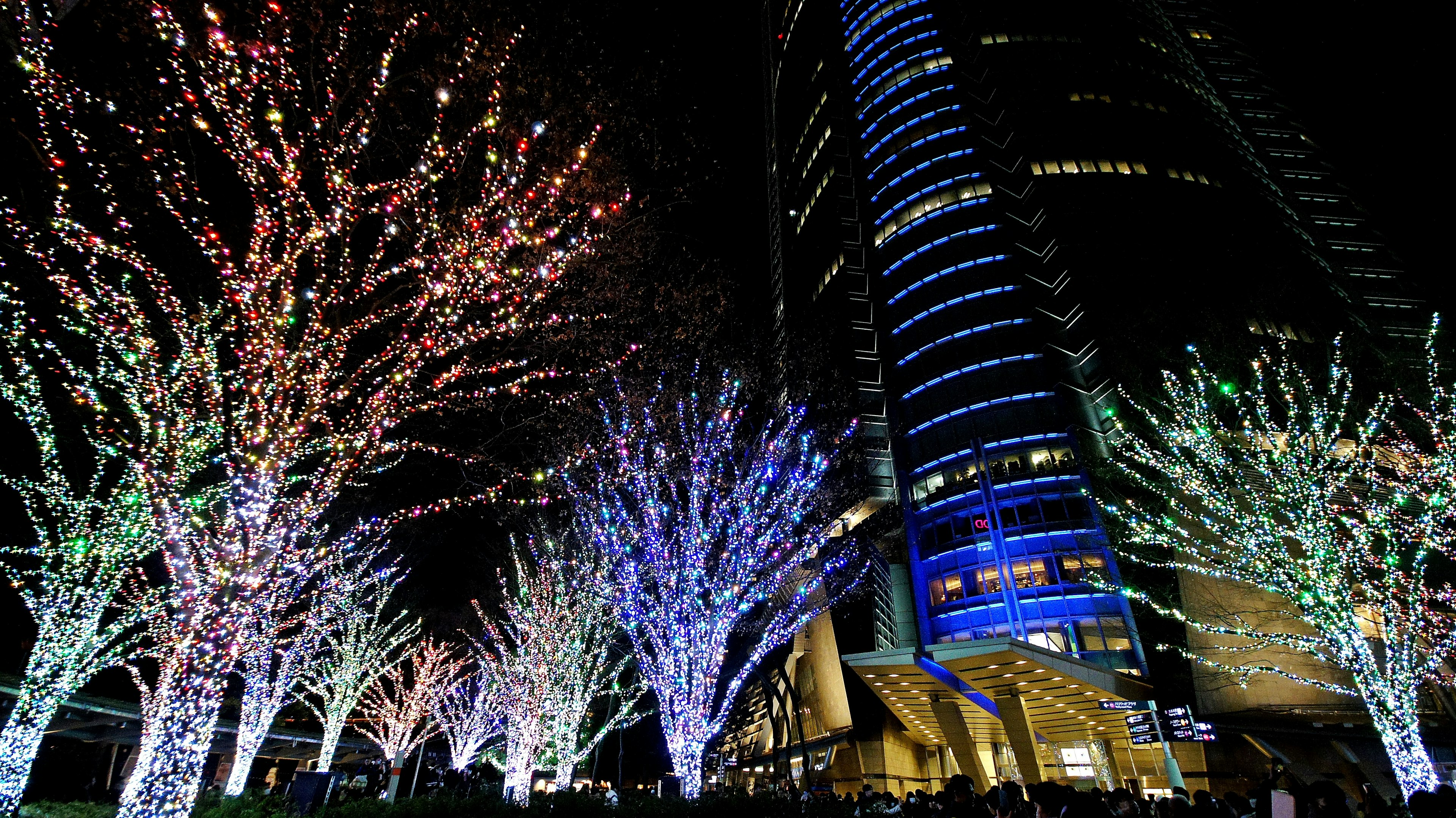 Illuminated trees at night with a skyscraper in the background