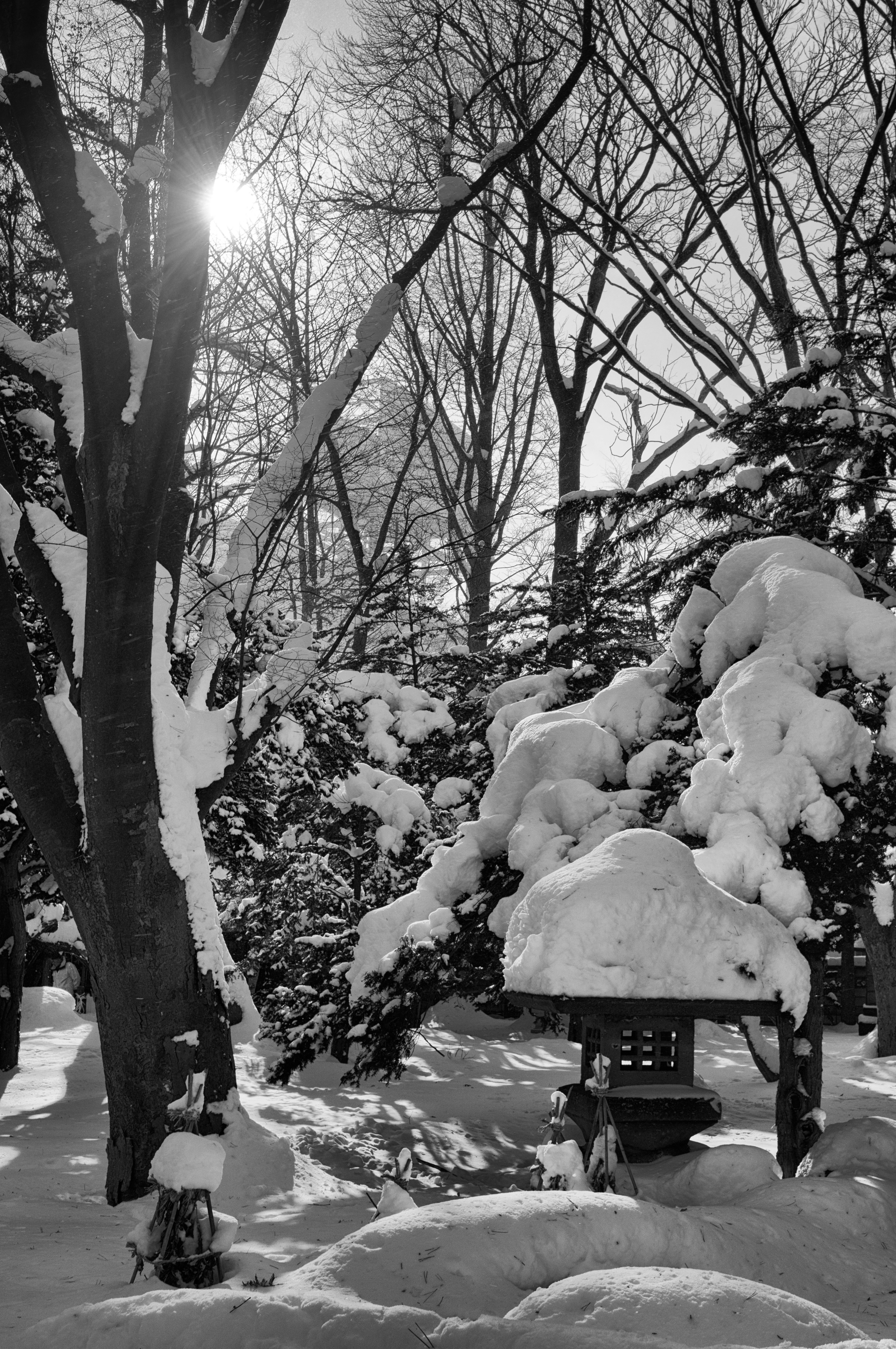 Paisaje invernal con árboles cubiertos de nieve y una pequeña cabaña