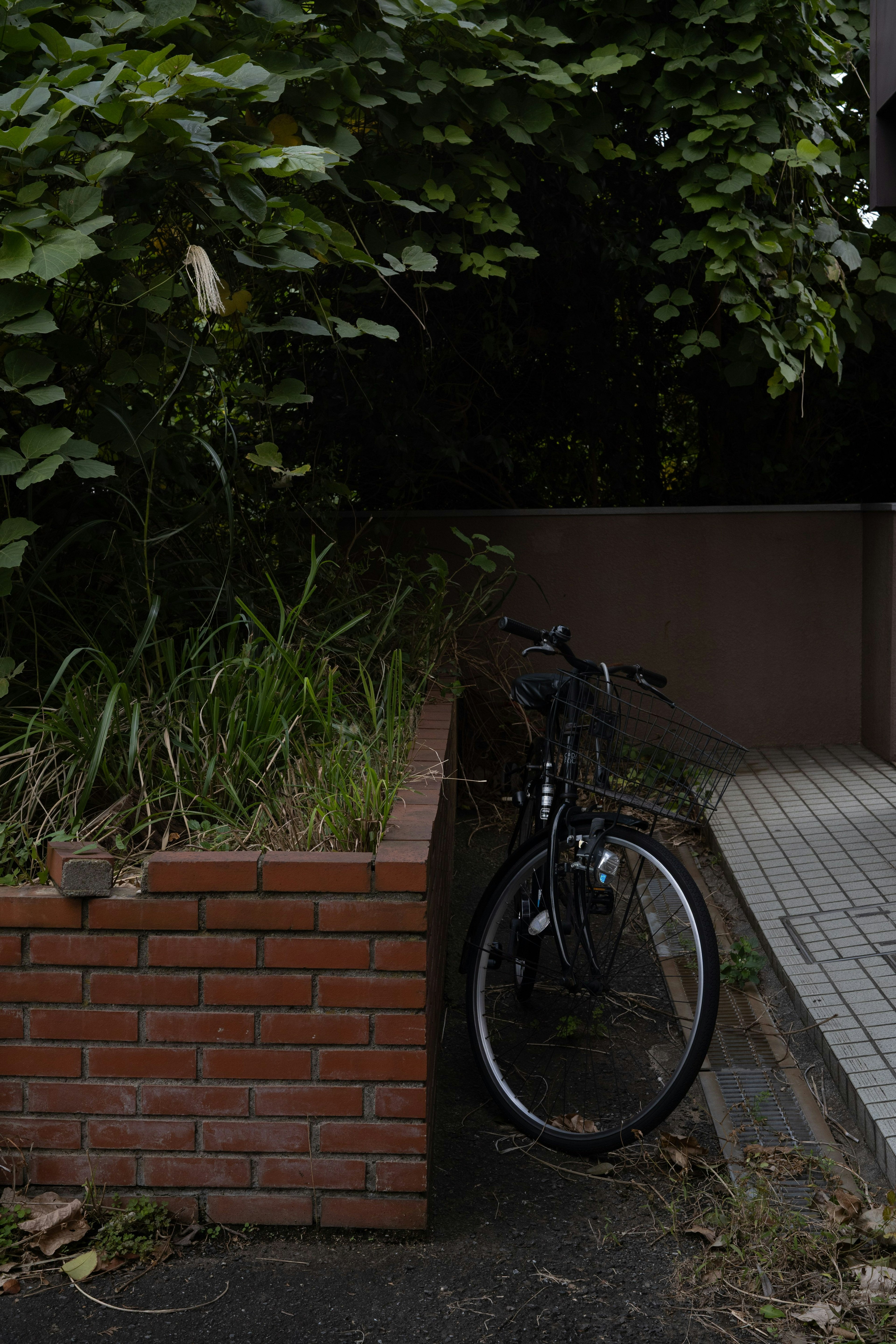Una bicicletta nera appoggiata a un muro di mattoni circondata da piante verdi