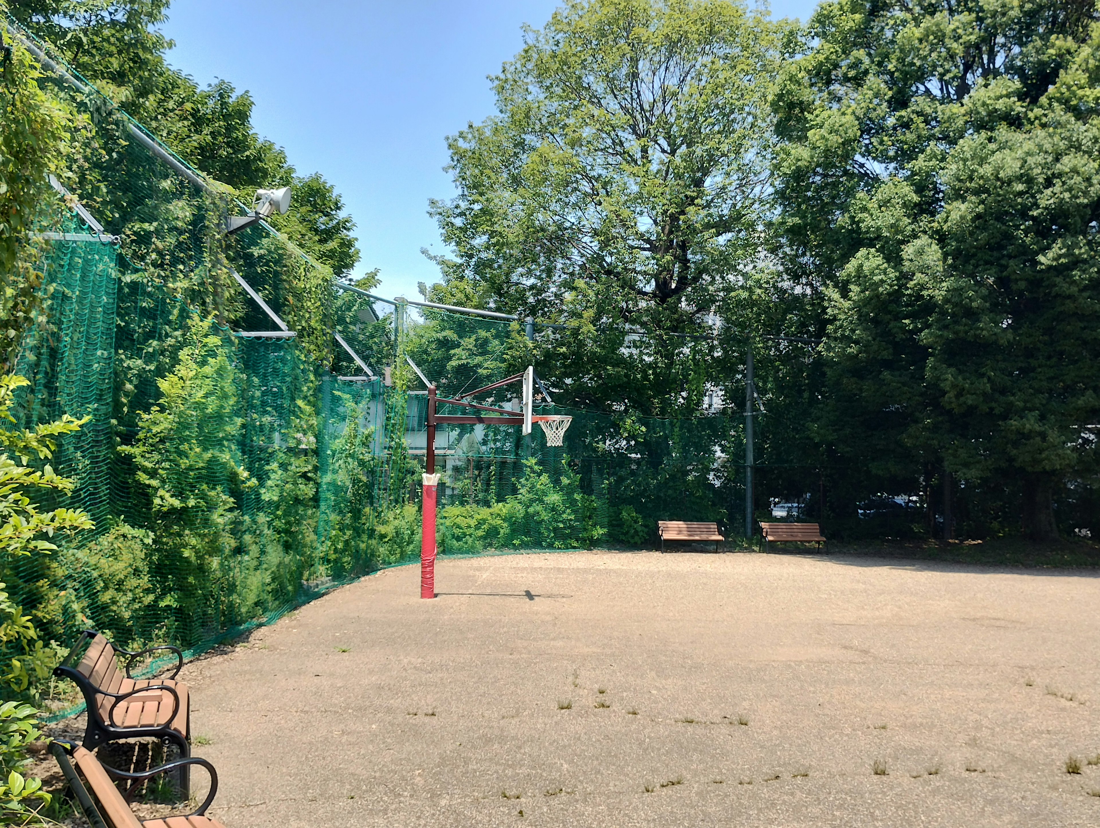 Cancha de baloncesto en un parque con bancos rodeados de redes verdes y árboles