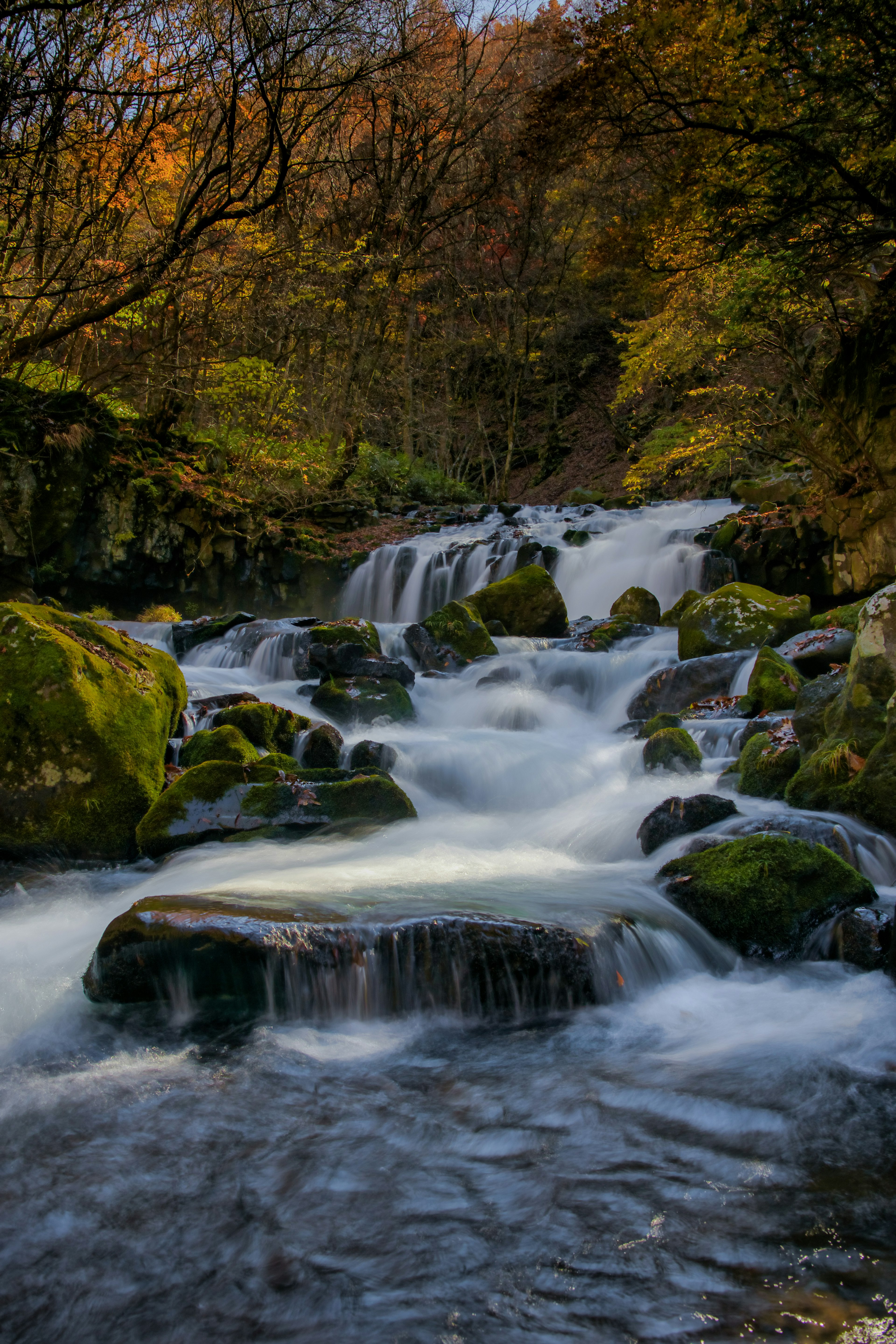 美しい滝と流れる水の風景 緑の苔の生えた岩と秋の木々