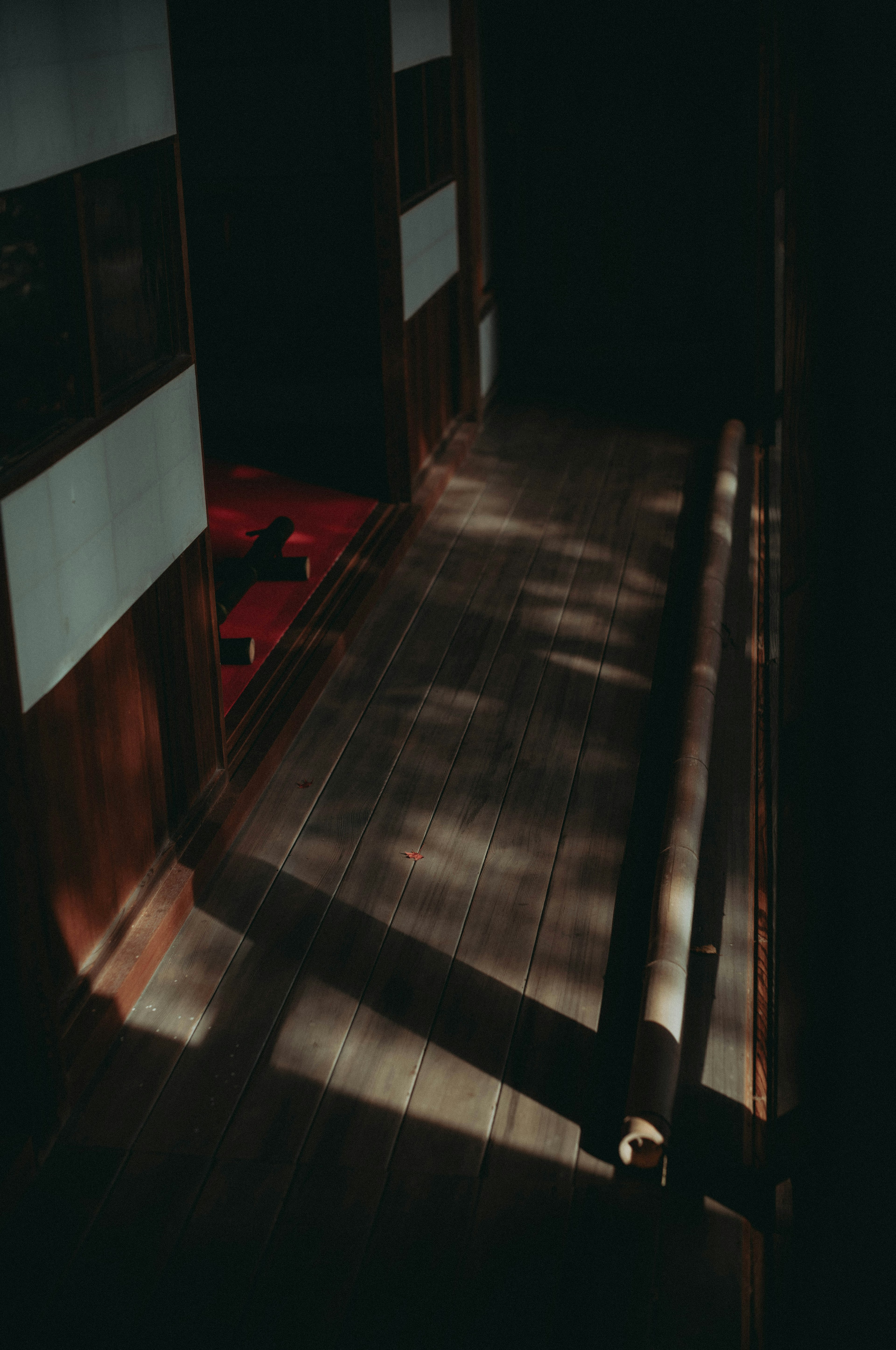 Interior of a dark hallway with shadows on wooden floor