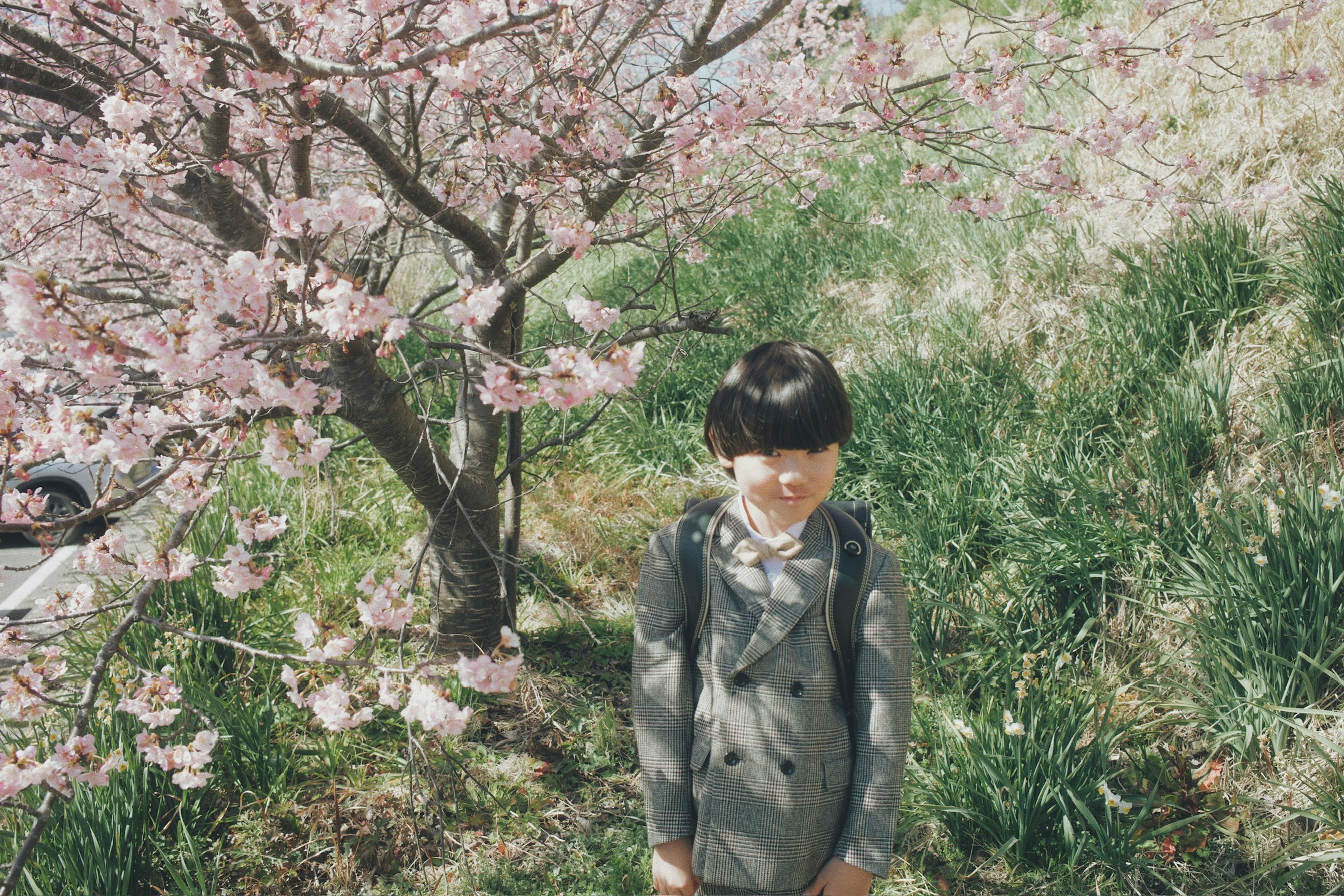 벚꽃 나무 아래에 서 있는 아이