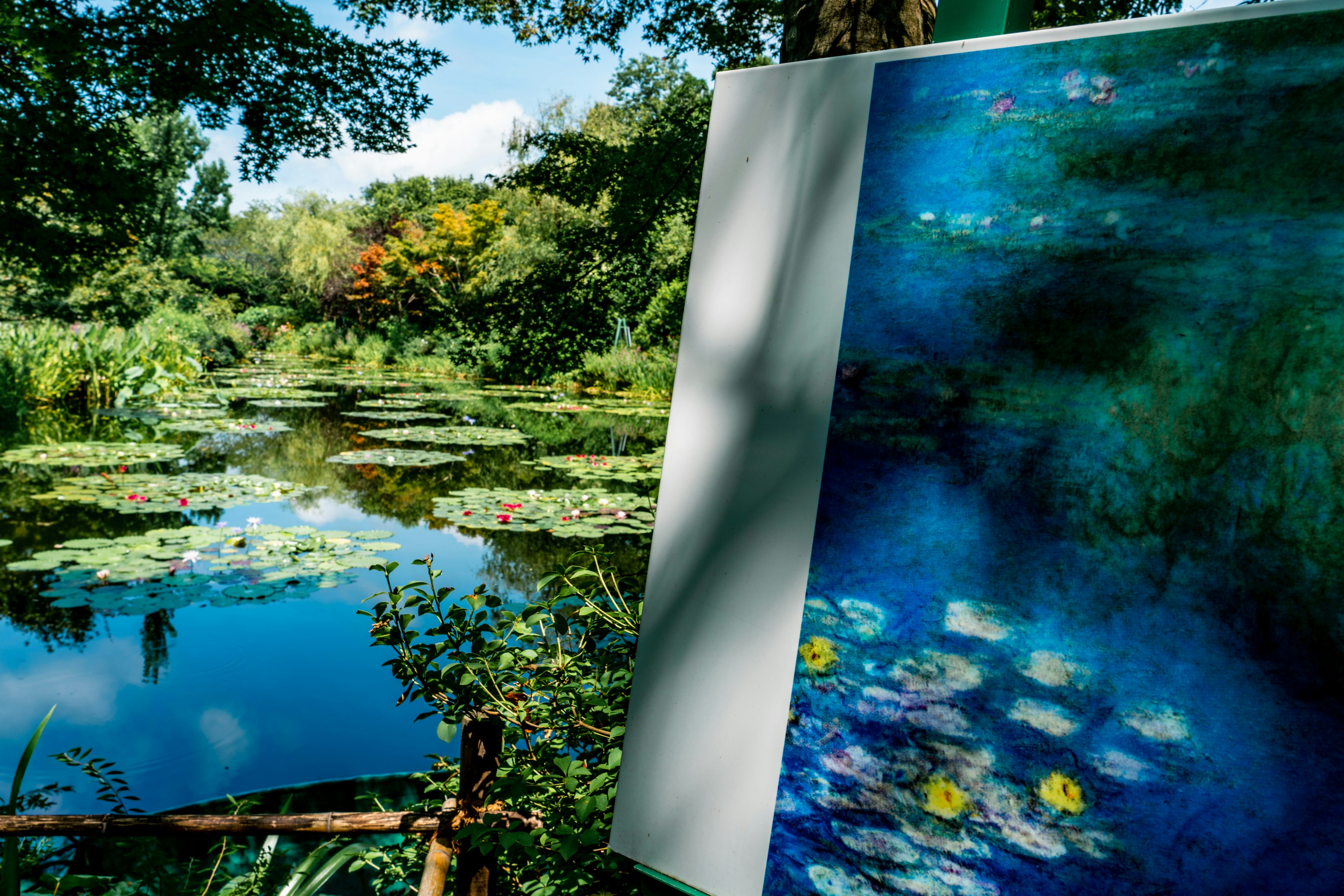 Pintura de Nenúfares de Monet junto a un paisaje de estanque sereno