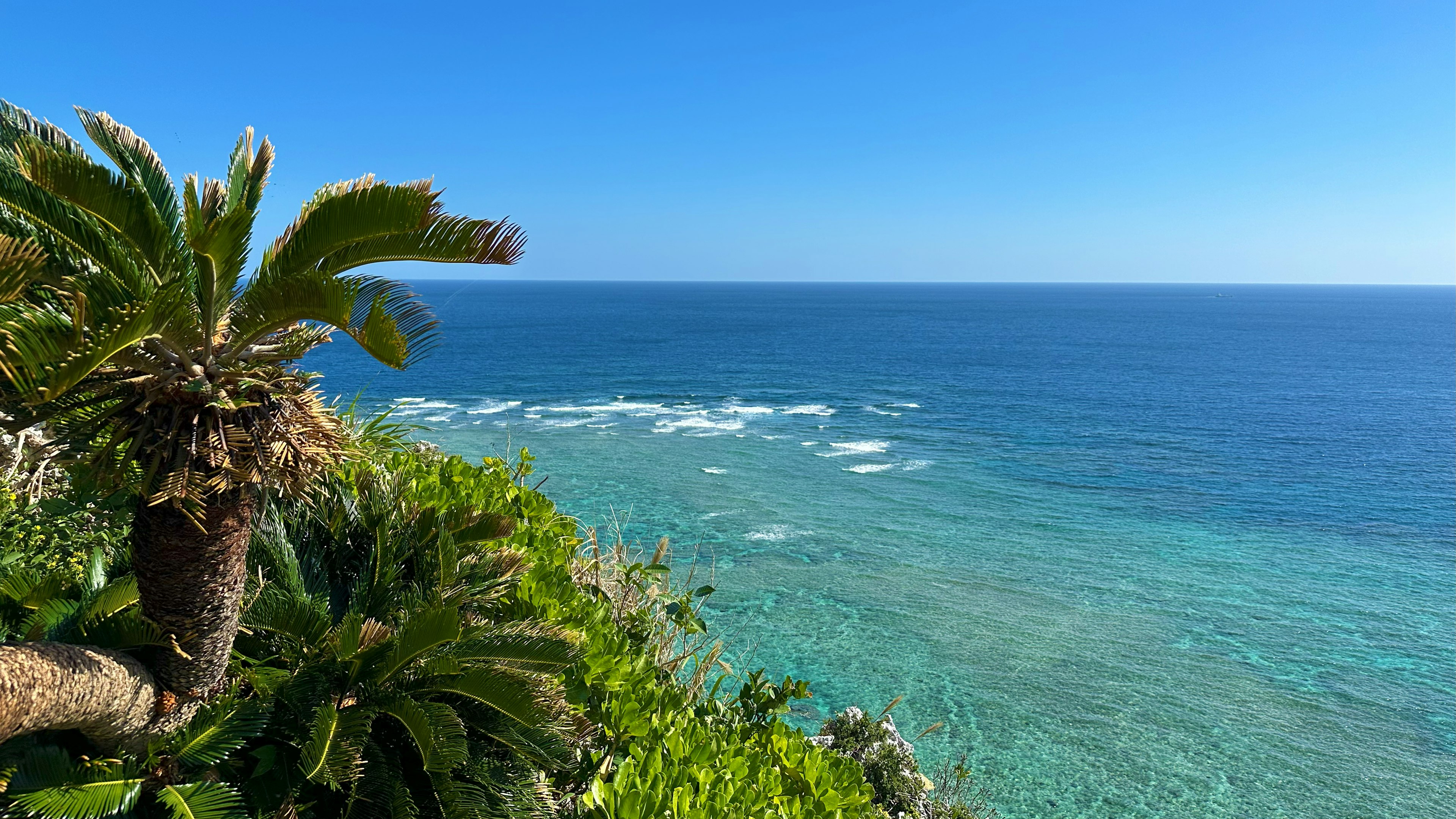 Vista panoramica dell'oceano blu e delle piante verdi lussureggianti