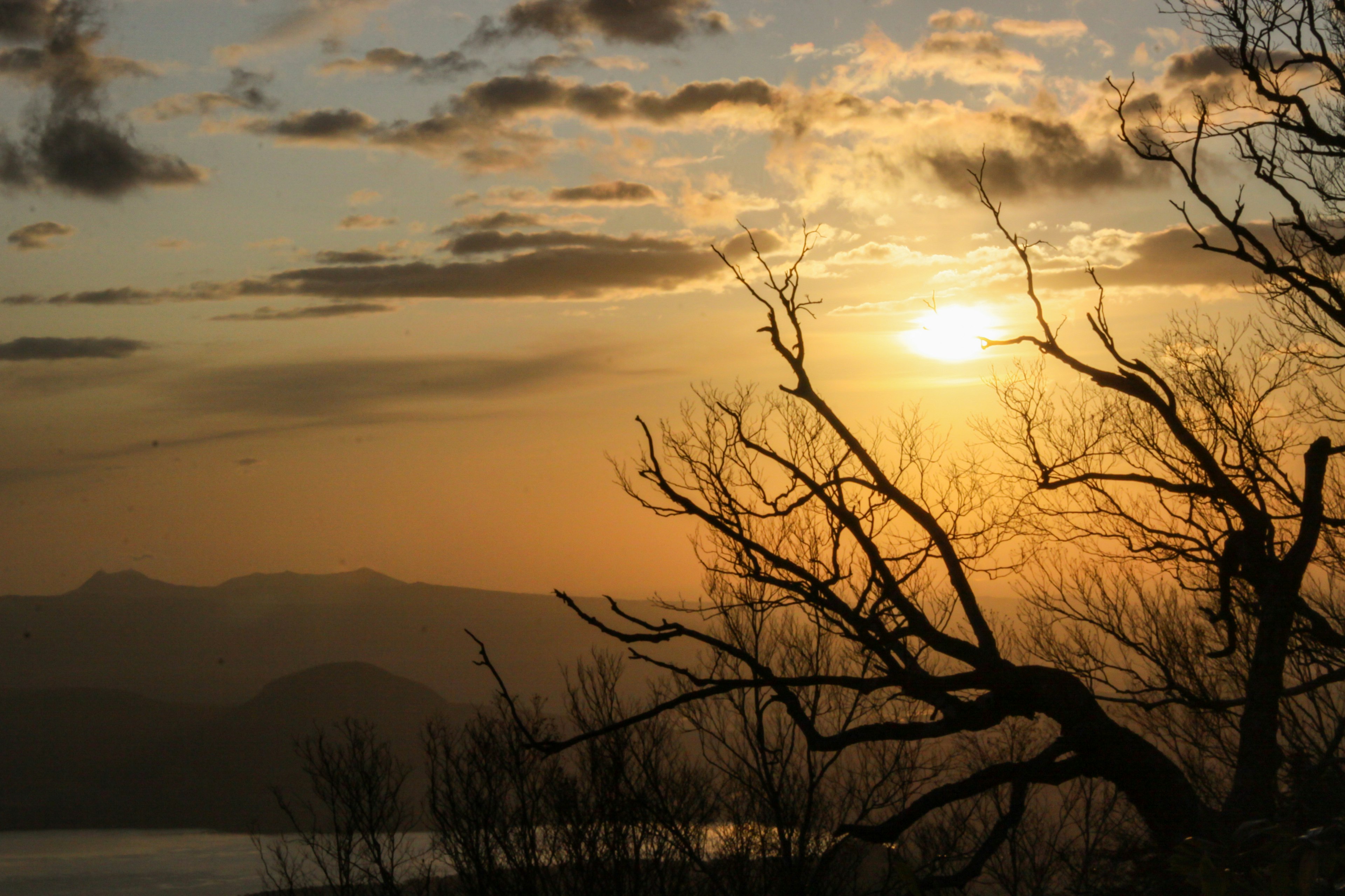 A beautiful landscape with a sunset and a silhouette of a bare tree