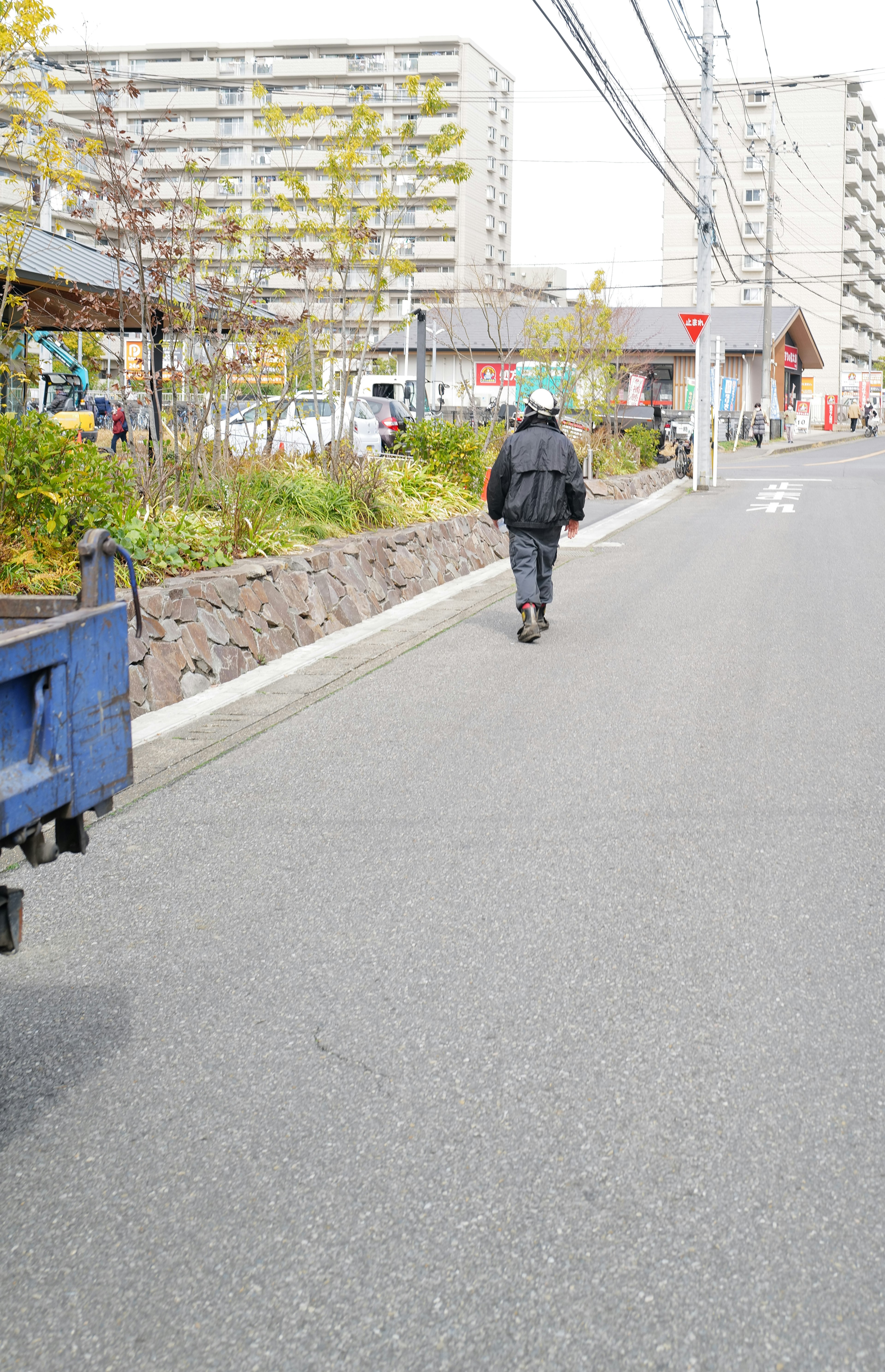 歩いている人物と周囲の建物と緑の風景