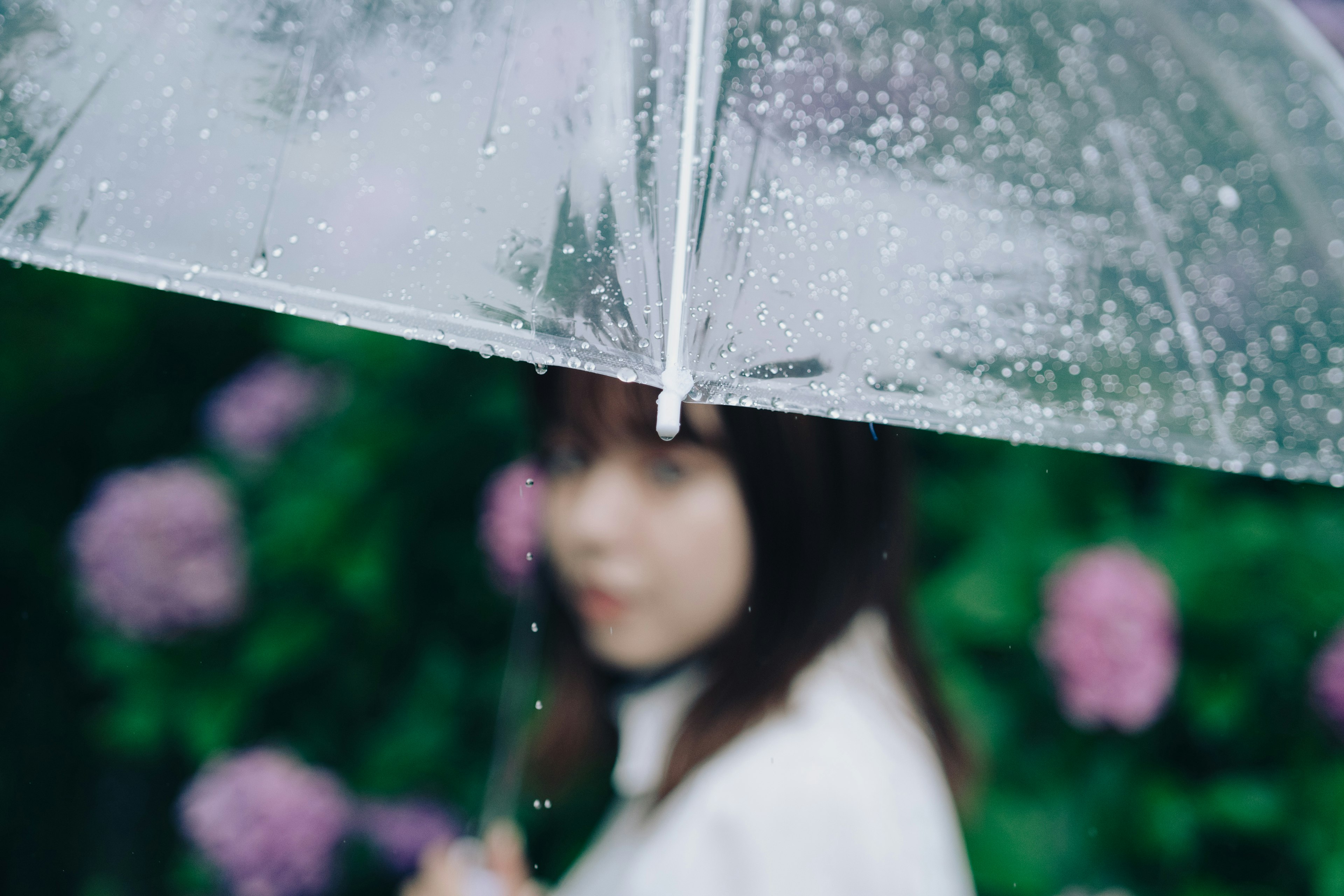 A woman under an umbrella with rain droplets and hydrangeas in the background