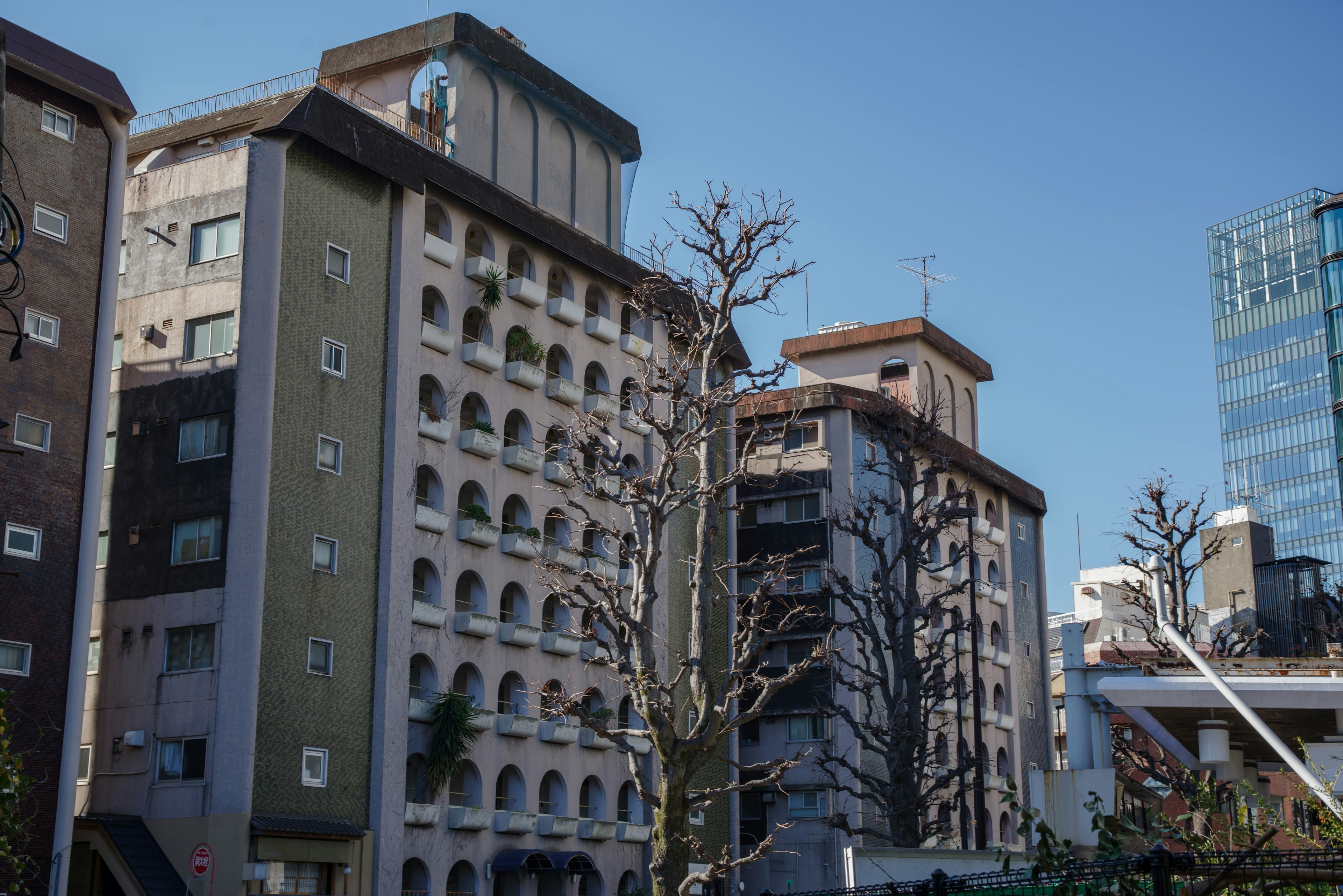 蓝天之下的城市风景，多个建筑和一棵光秃的树