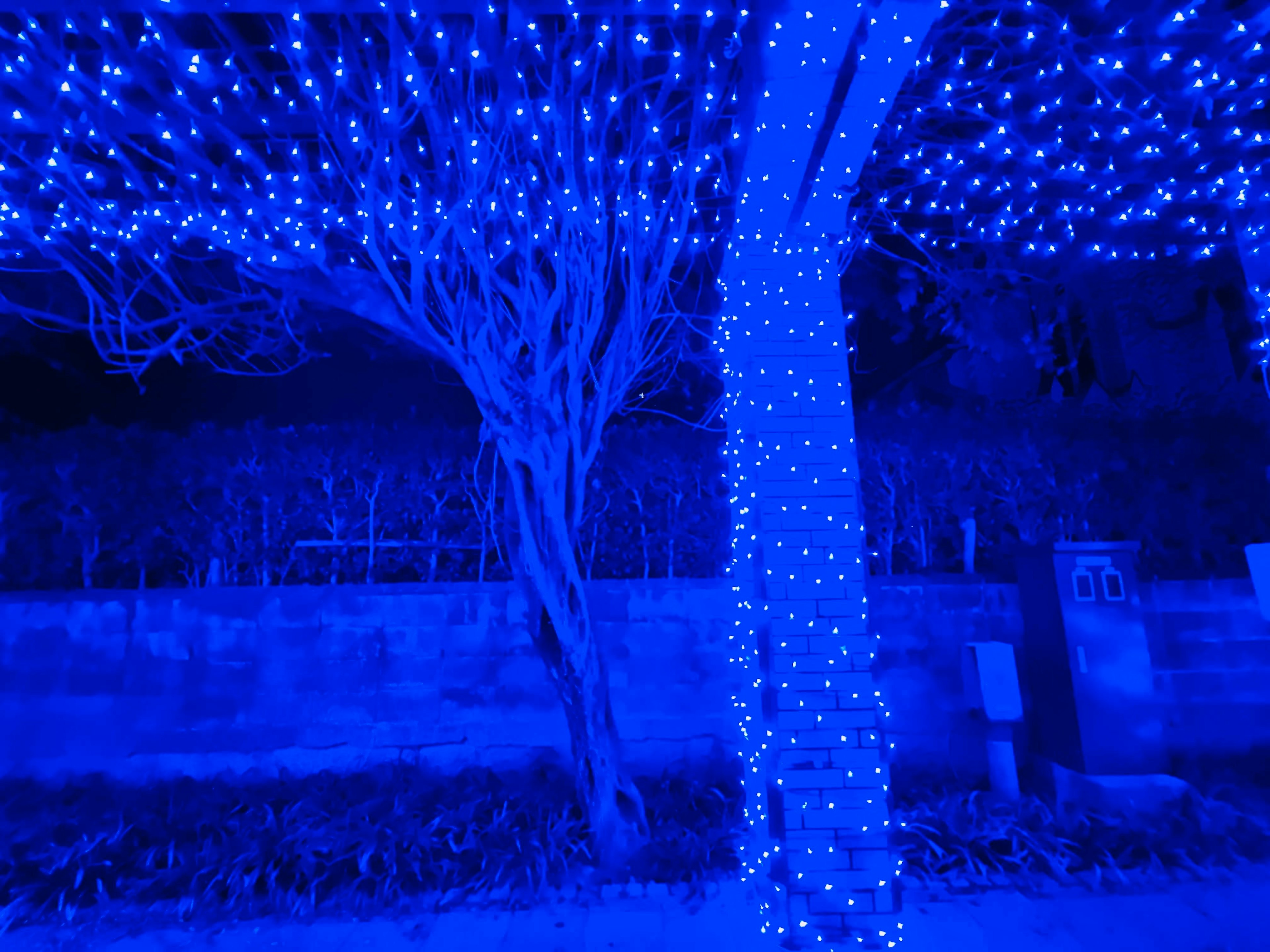 Albero decorato con luci blu su sfondo scuro