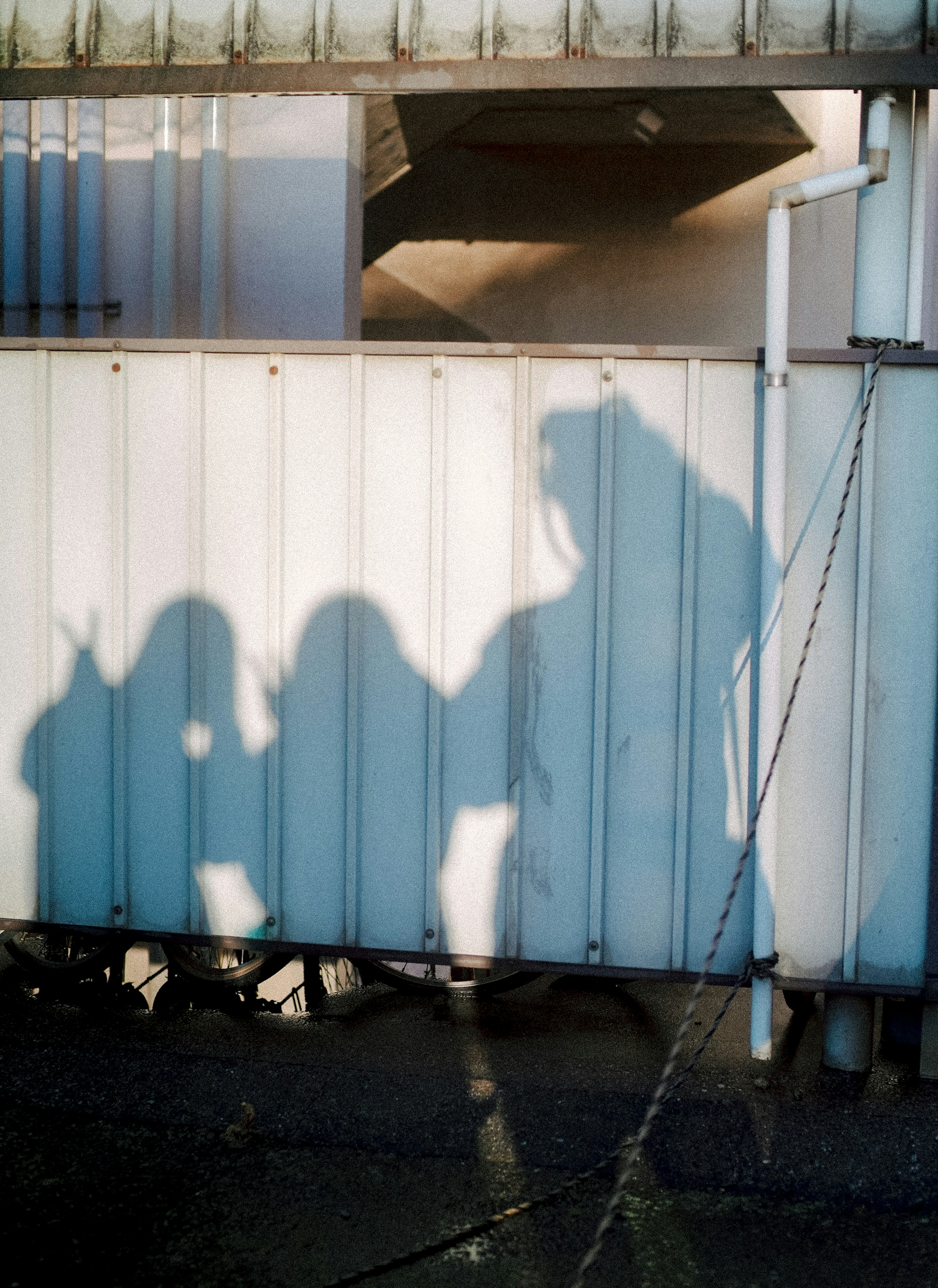 Ombre di persone su un muro blu in posizioni intime e ravvicinate