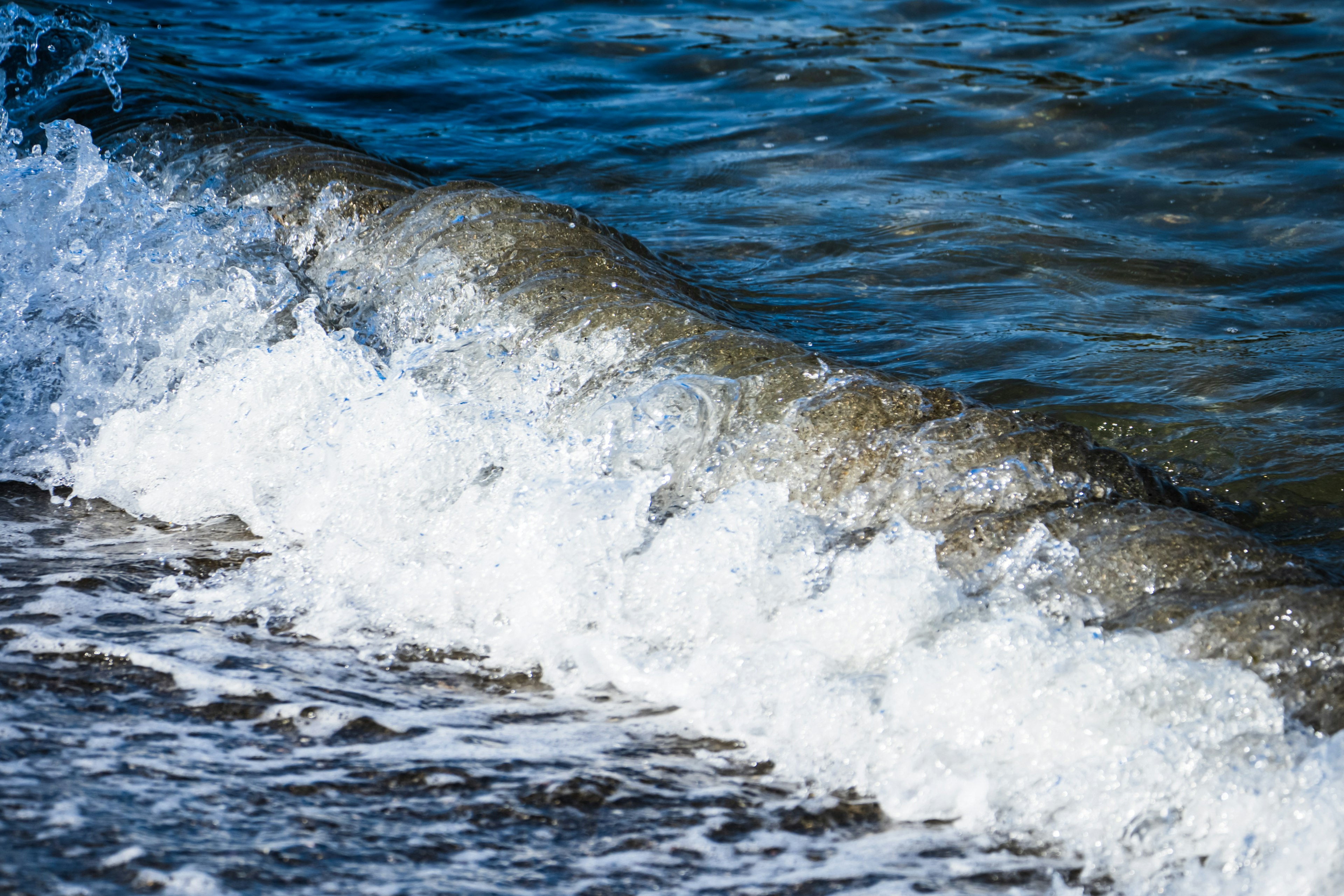 Ocean wave crashing with white foam