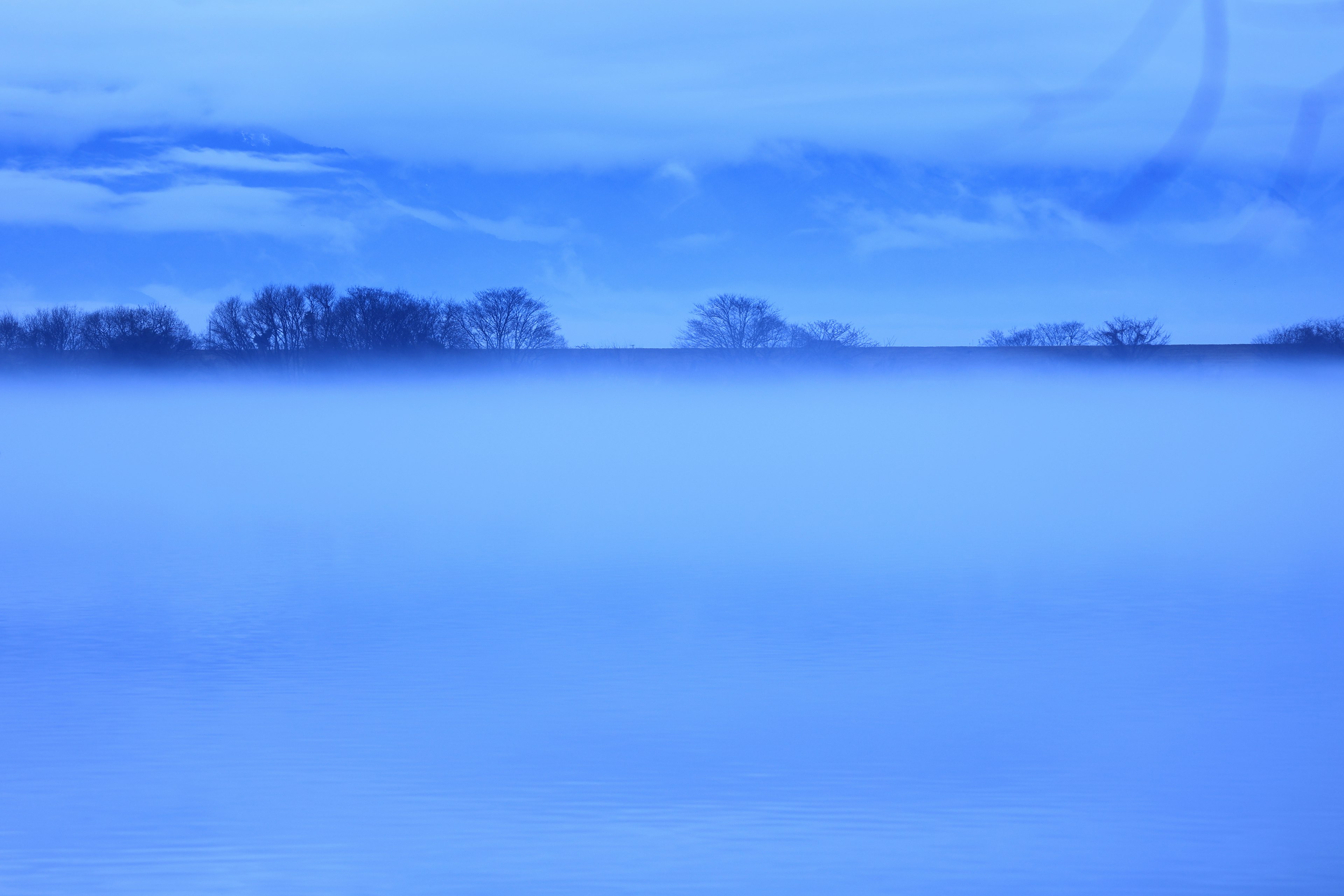 Paisaje envuelto en niebla azul con árboles apenas visibles