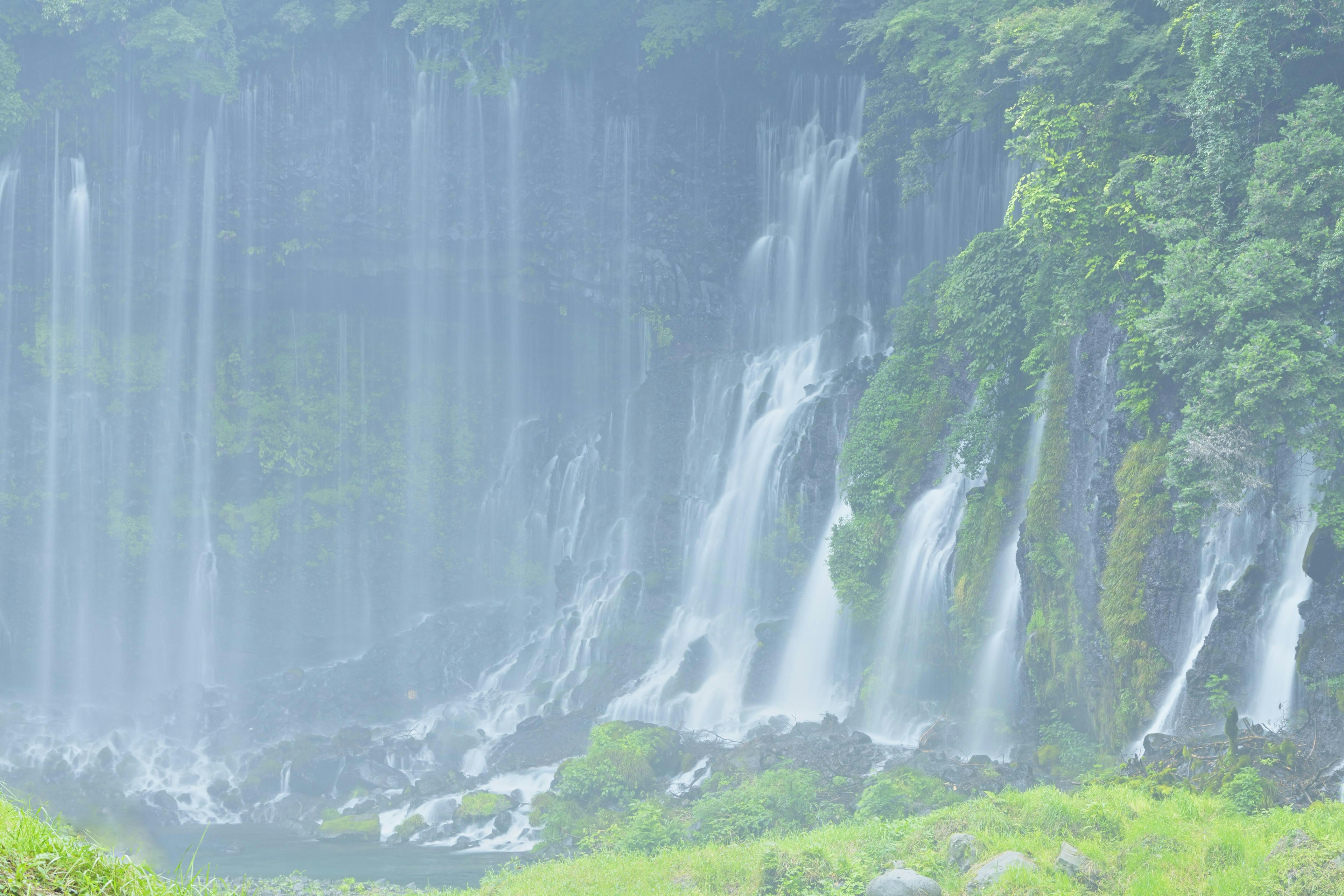 滝の美しい風景 緑豊かな森林と水しぶき