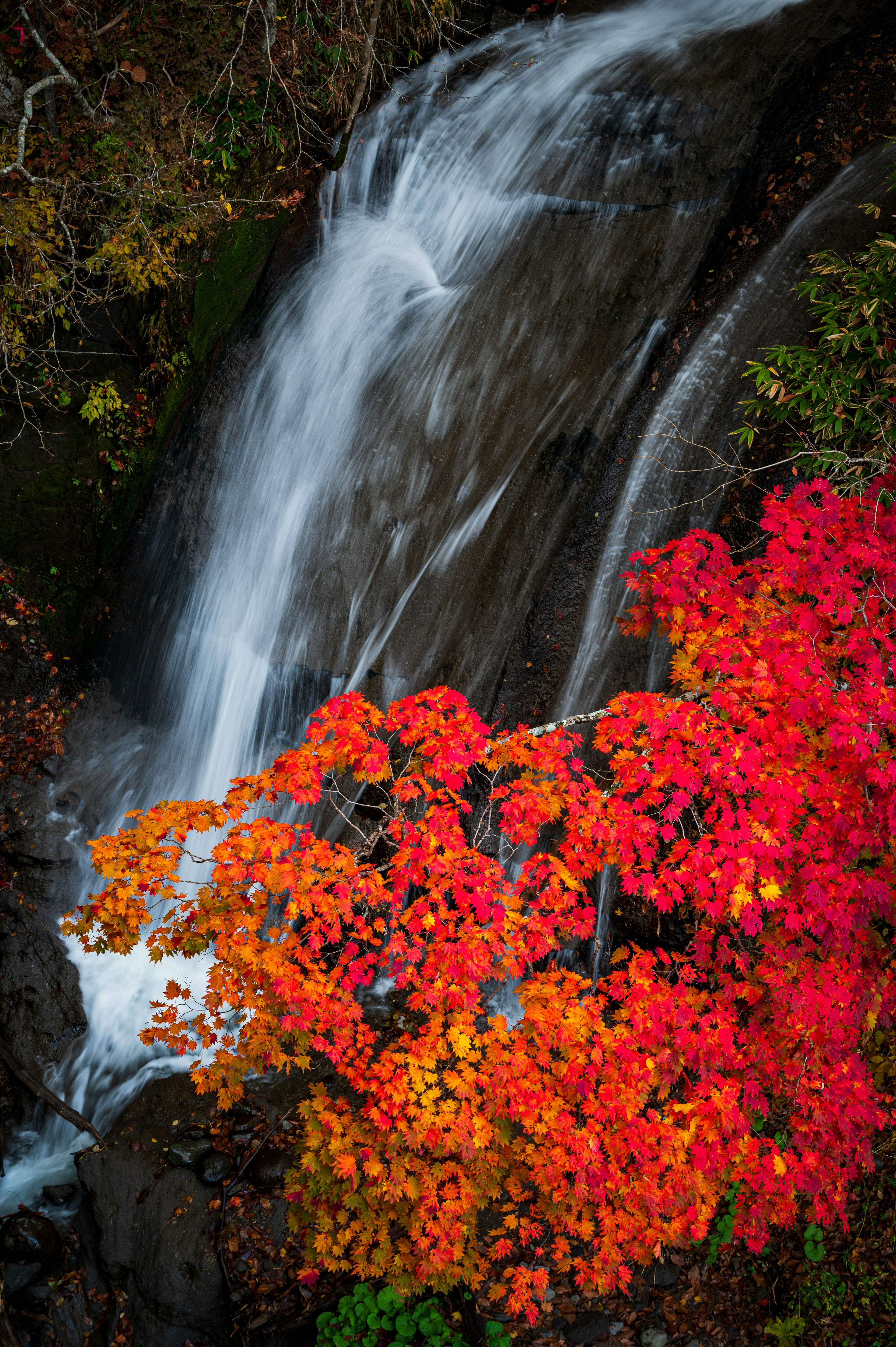 Vibrant autumn leaves surrounding a cascading waterfall