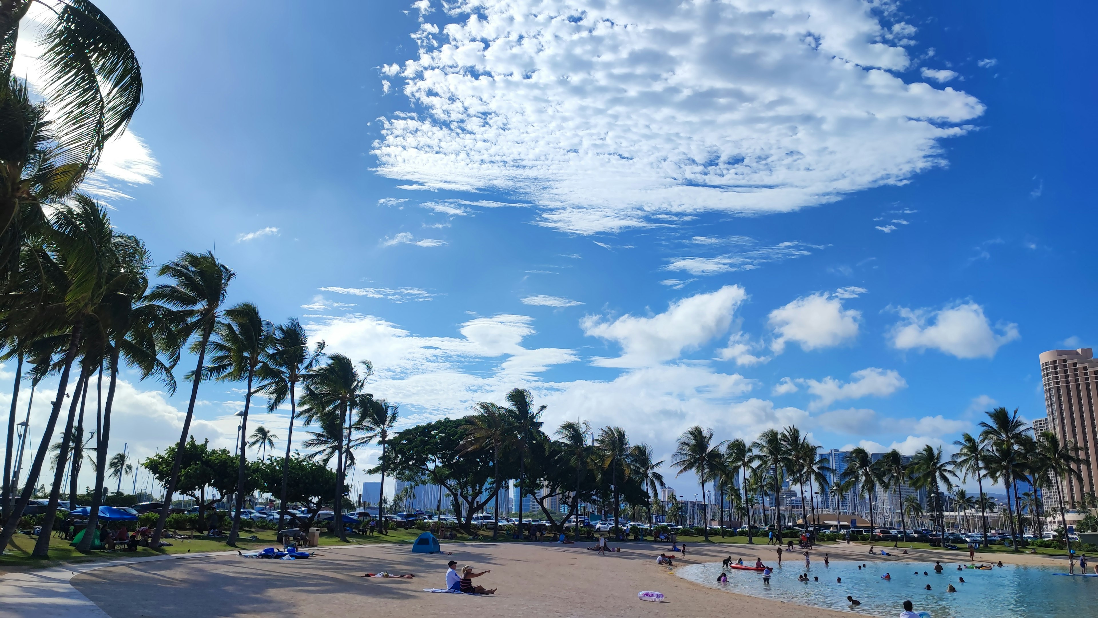 Beach scene with blue sky and white clouds palm trees and people enjoying the water