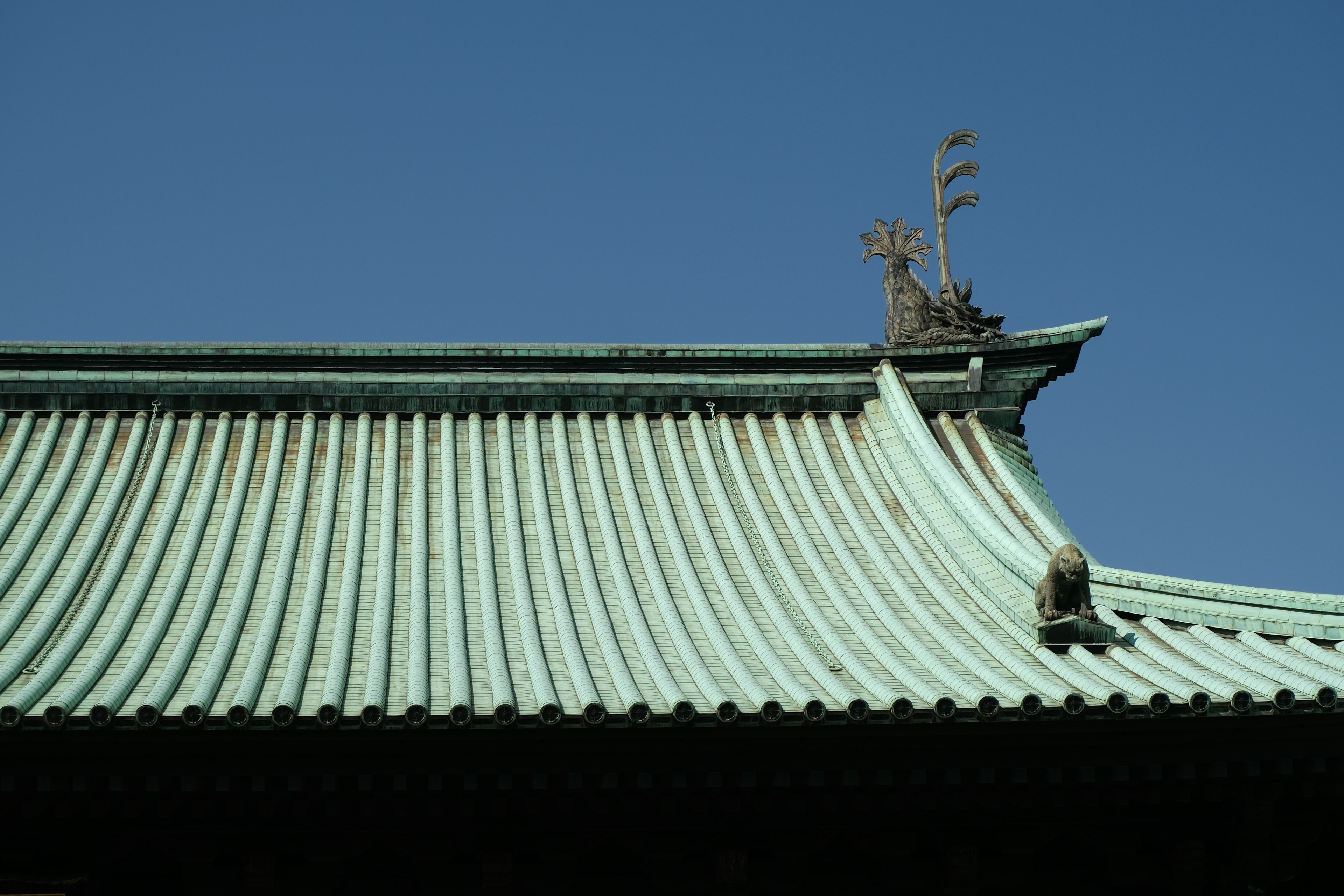 Detailed view of a green roof under a blue sky