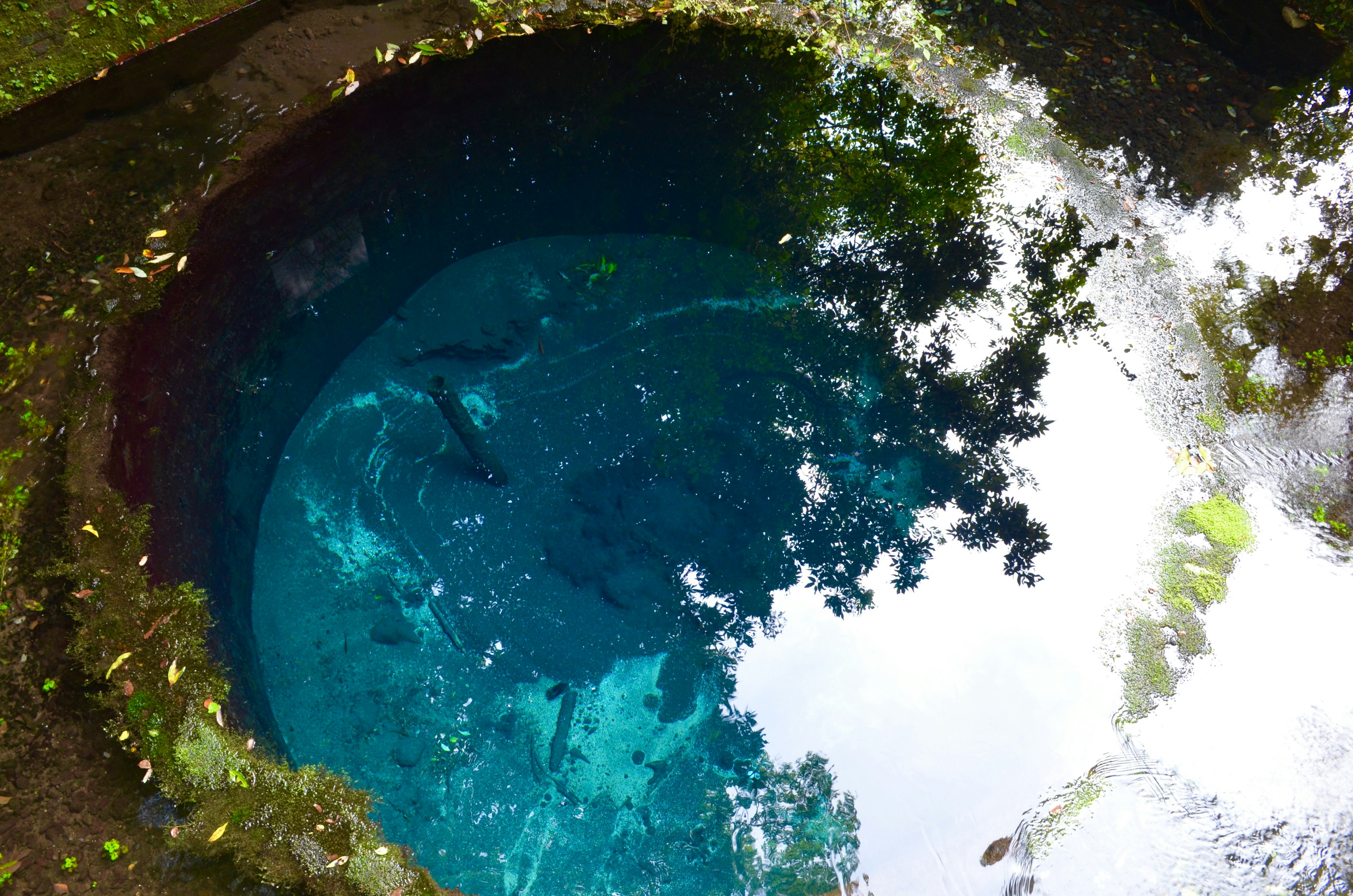 Superficie de agua clara que refleja árboles verdes y una fuente tranquila