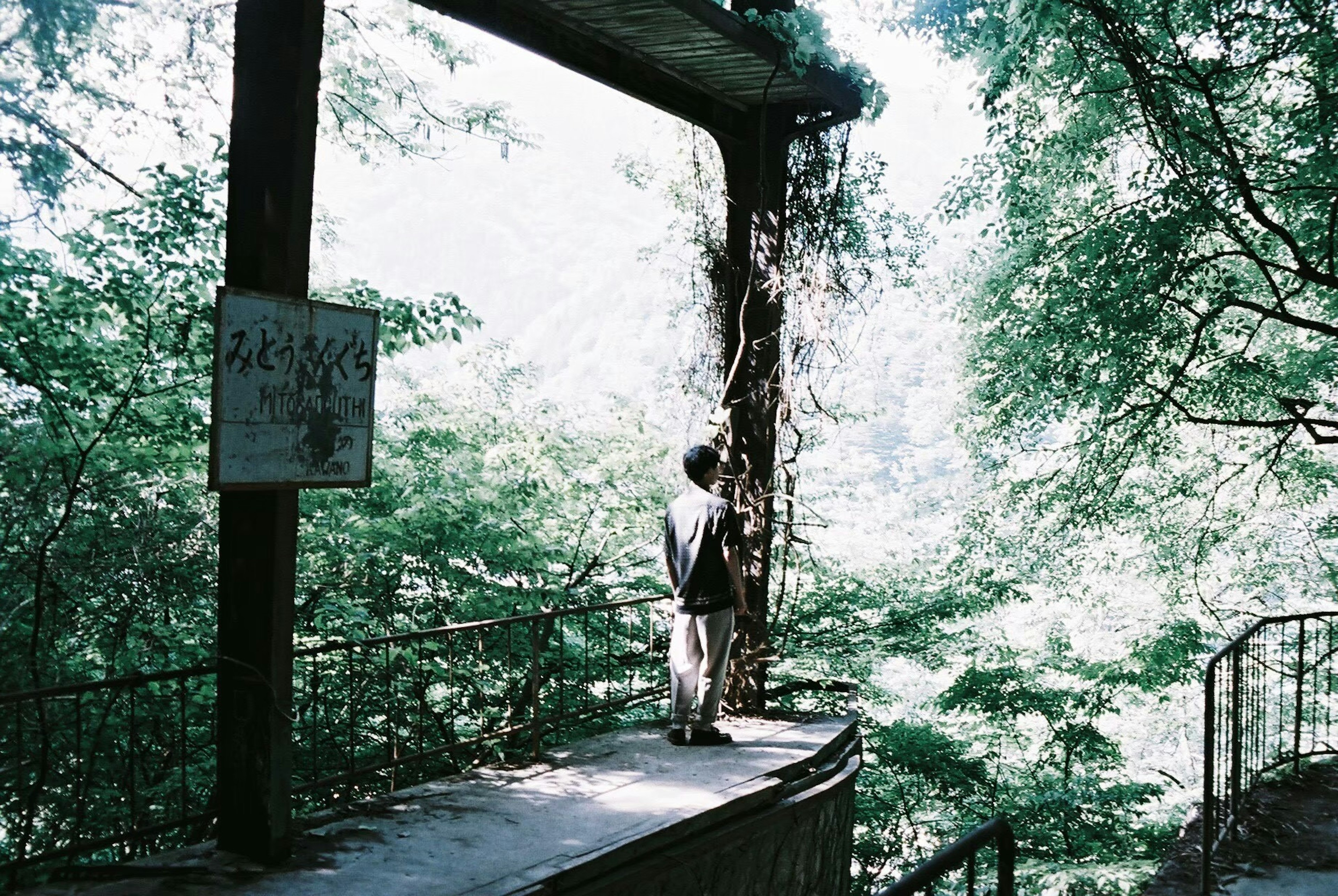 A person standing in a lush green area near a sign